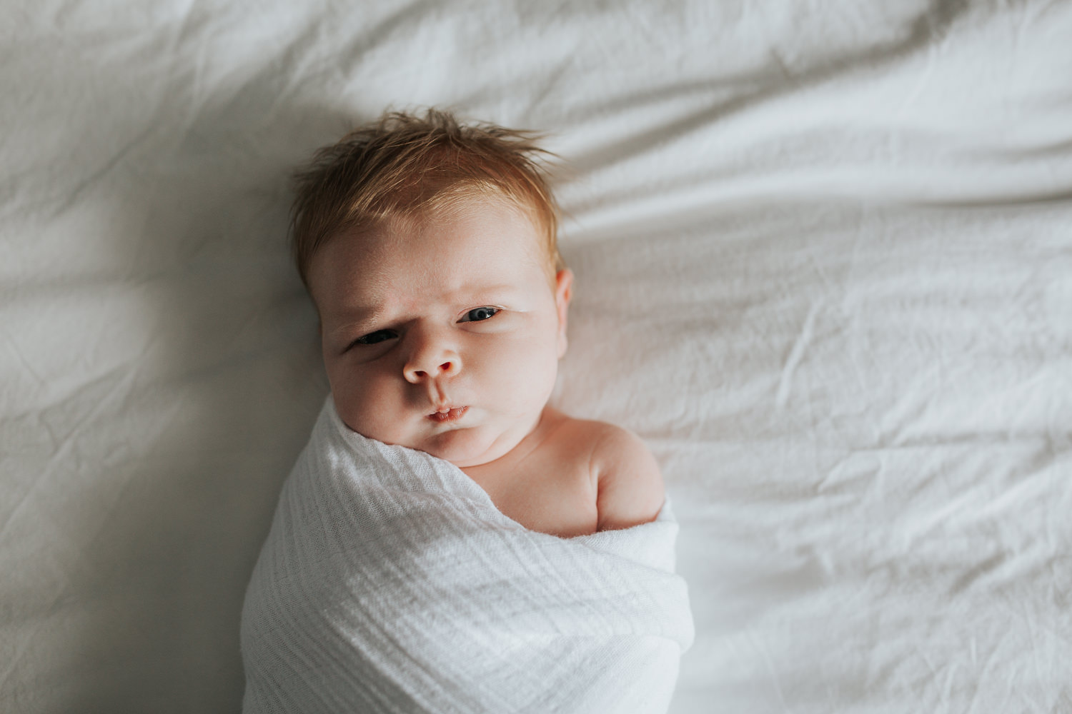 2 week old baby girl with red hair in white swaddle looking at camera - Newmarket Lifestyle Photography