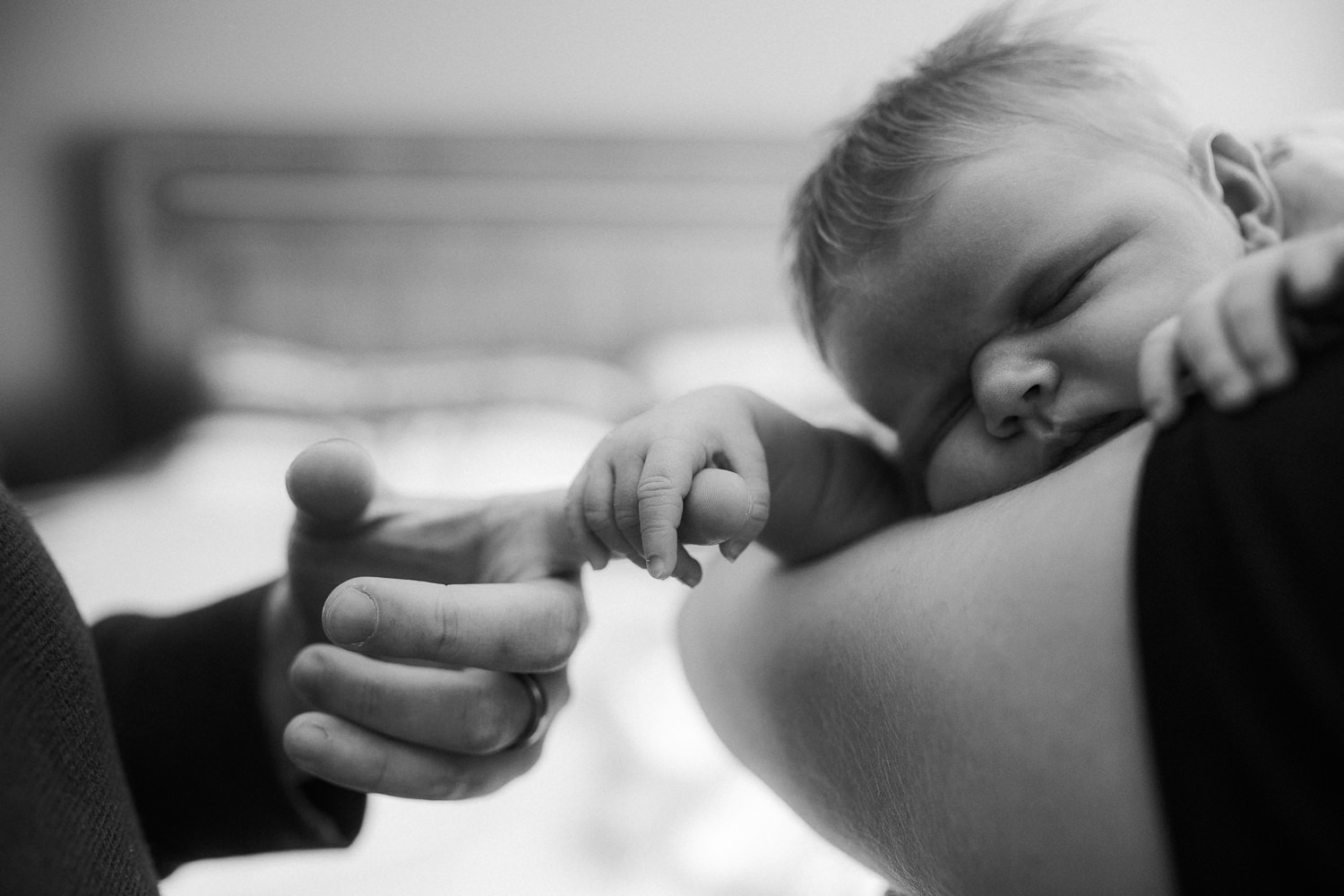 dad holding 2 week old baby girl's hand - Newmarket Lifestyle Photography