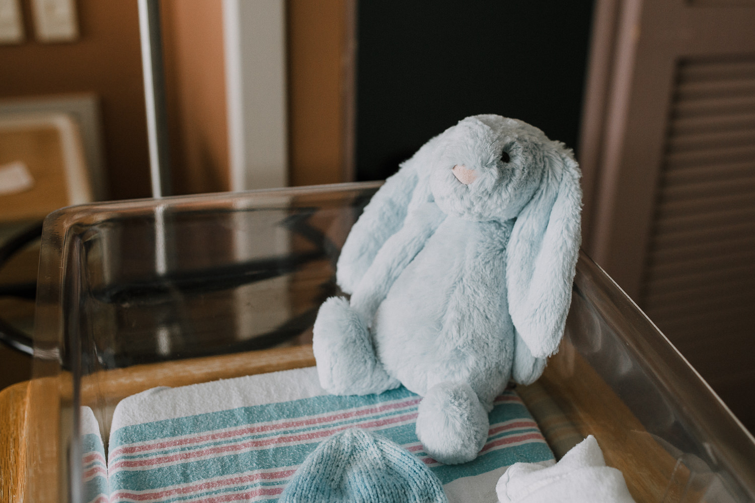 hospital room details, blue jellycat bunny in bassinet - Newmarket Fresh 48 Photos