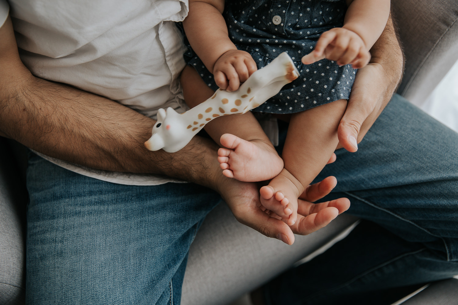 6 month old baby girl sitting in dad's lap holding Sophie the giraffe, close up of her feet in father's hands - Newmarket In-Home Photos