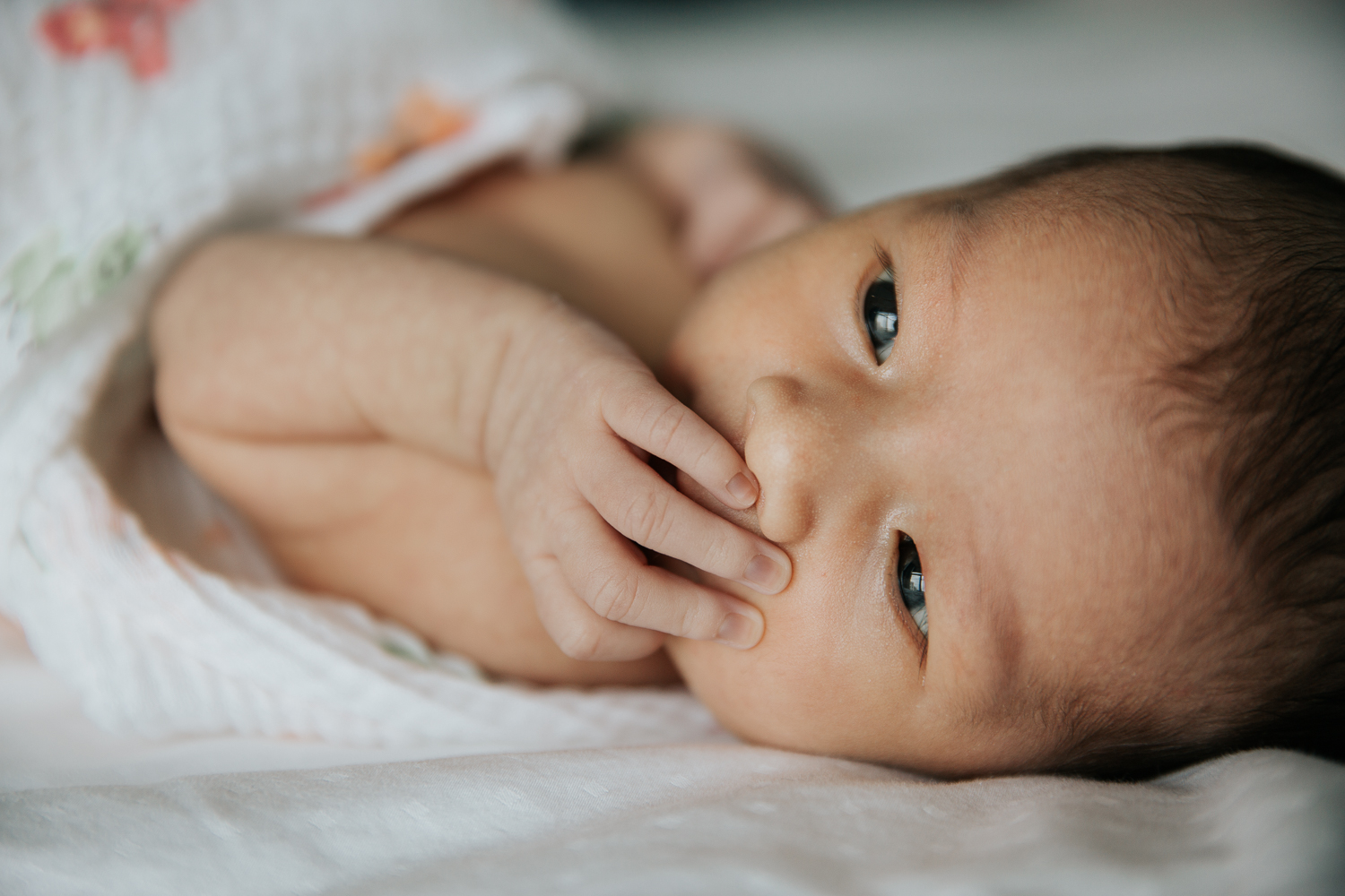 2 week old baby girl in swaddle lying on bed with hand near mouth  - Newmarket In-Home Photos