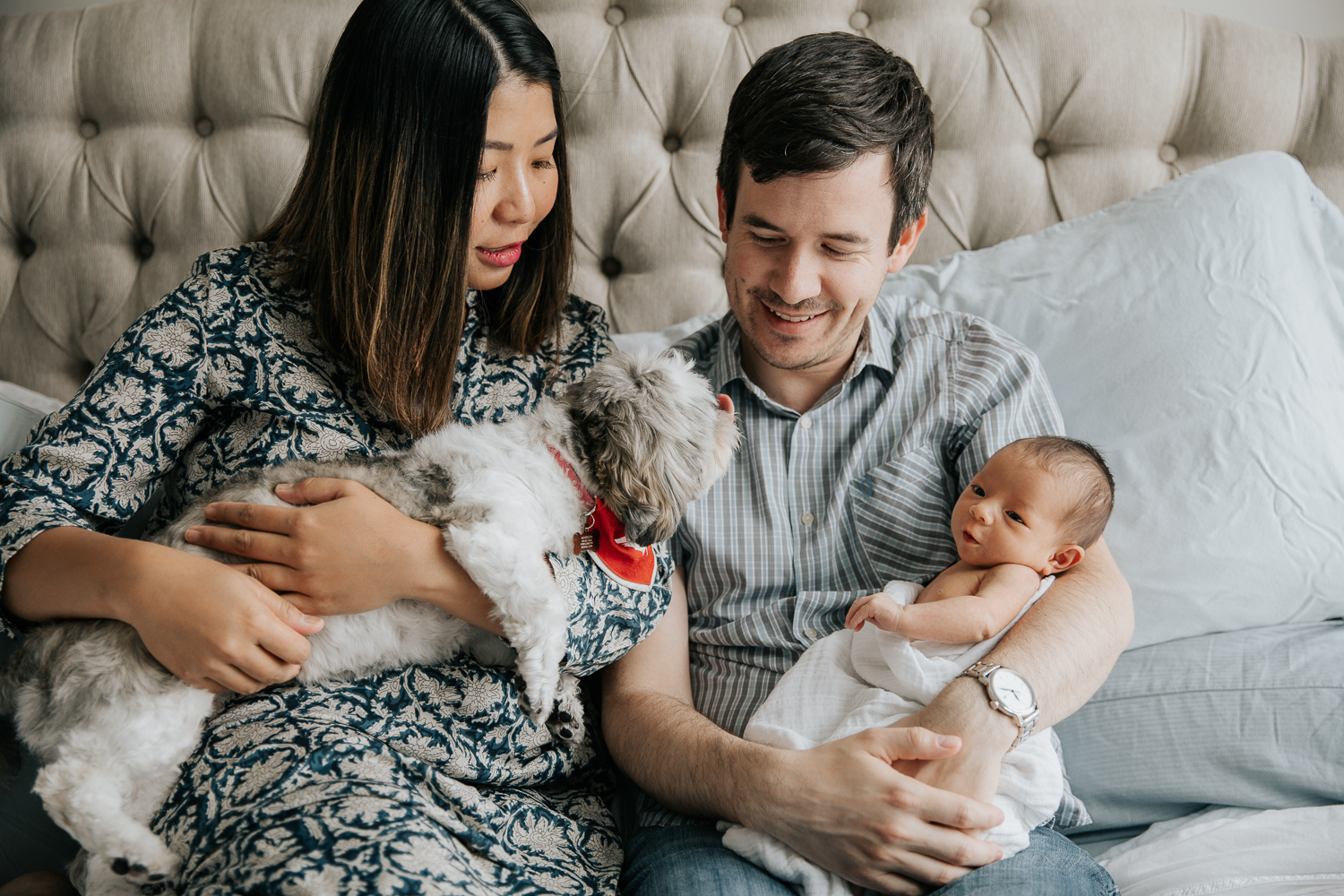 new parents sitting on master bed holding 2 week old baby girl and shitzu dog - Markham Lifestyle Photography