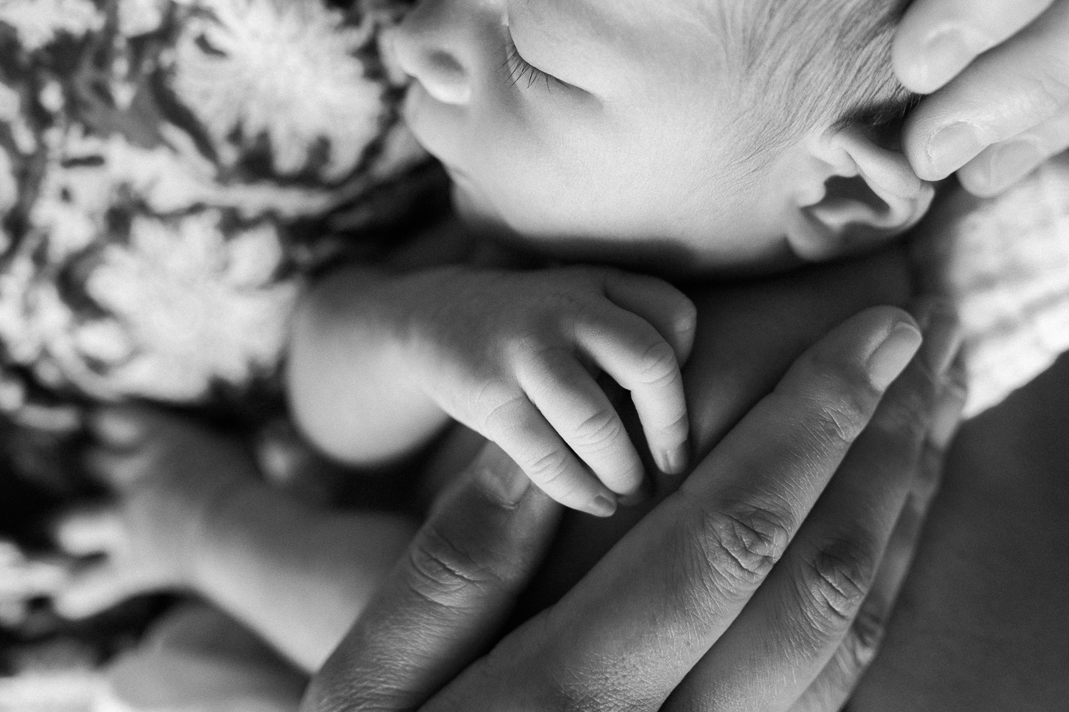 close up of 2 week old baby girl's hand holding mom's finger - Markham Lifestyle Photos