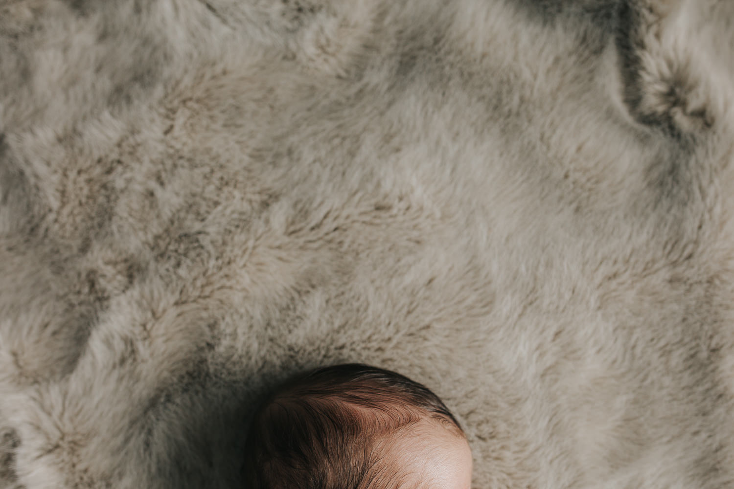 2 week old baby boy lying on fur blanket, close up of dark hair - Newmarket Lifestyle Photography