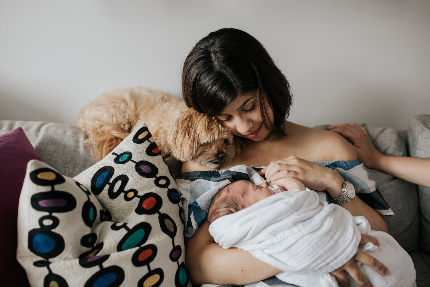 new mother with short brown hair sitting on couch in living room snuggling 2 week old baby boy in white swaddle and leaning head against golden dog - Stouffville In-Home Photos