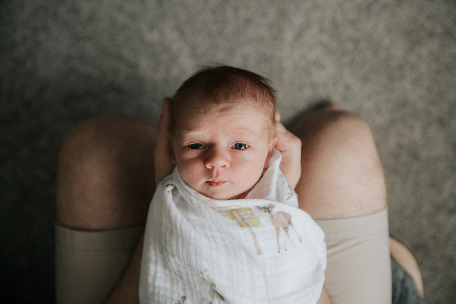 3 week old baby boy with red hair in swaddle lying in father's lap looking at the camera - Markham In-Home Photography