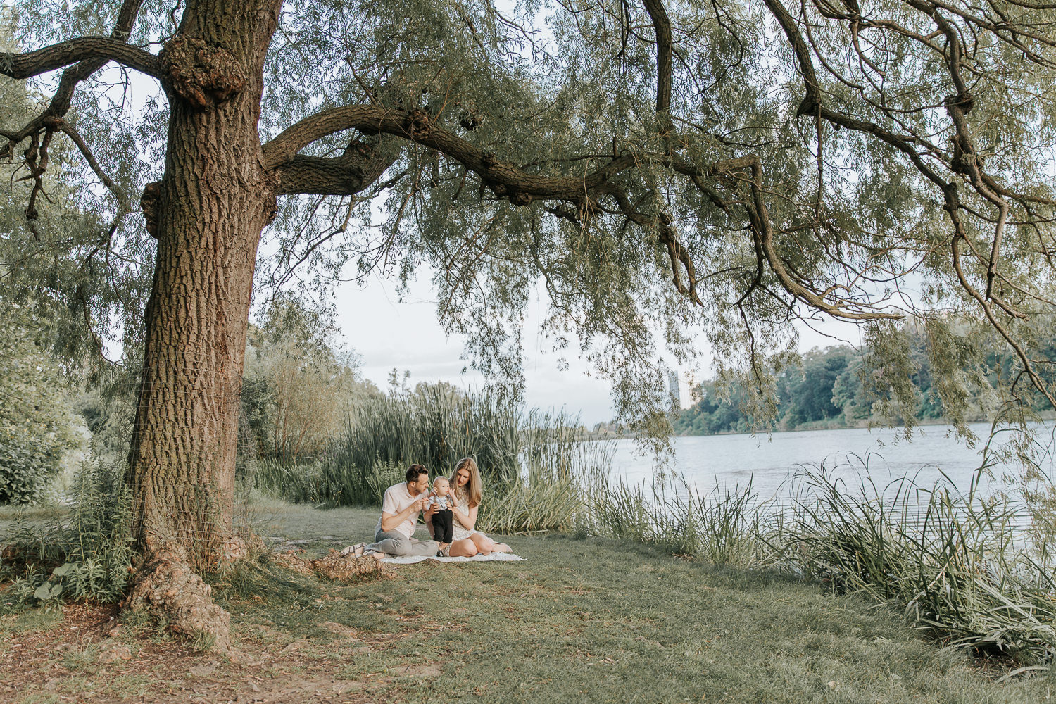 family of 3 sitting on blanket under large willow tree next to pond at high park, 8 month old baby boy standing between mom and dad - Newmarket Lifestyle Photography