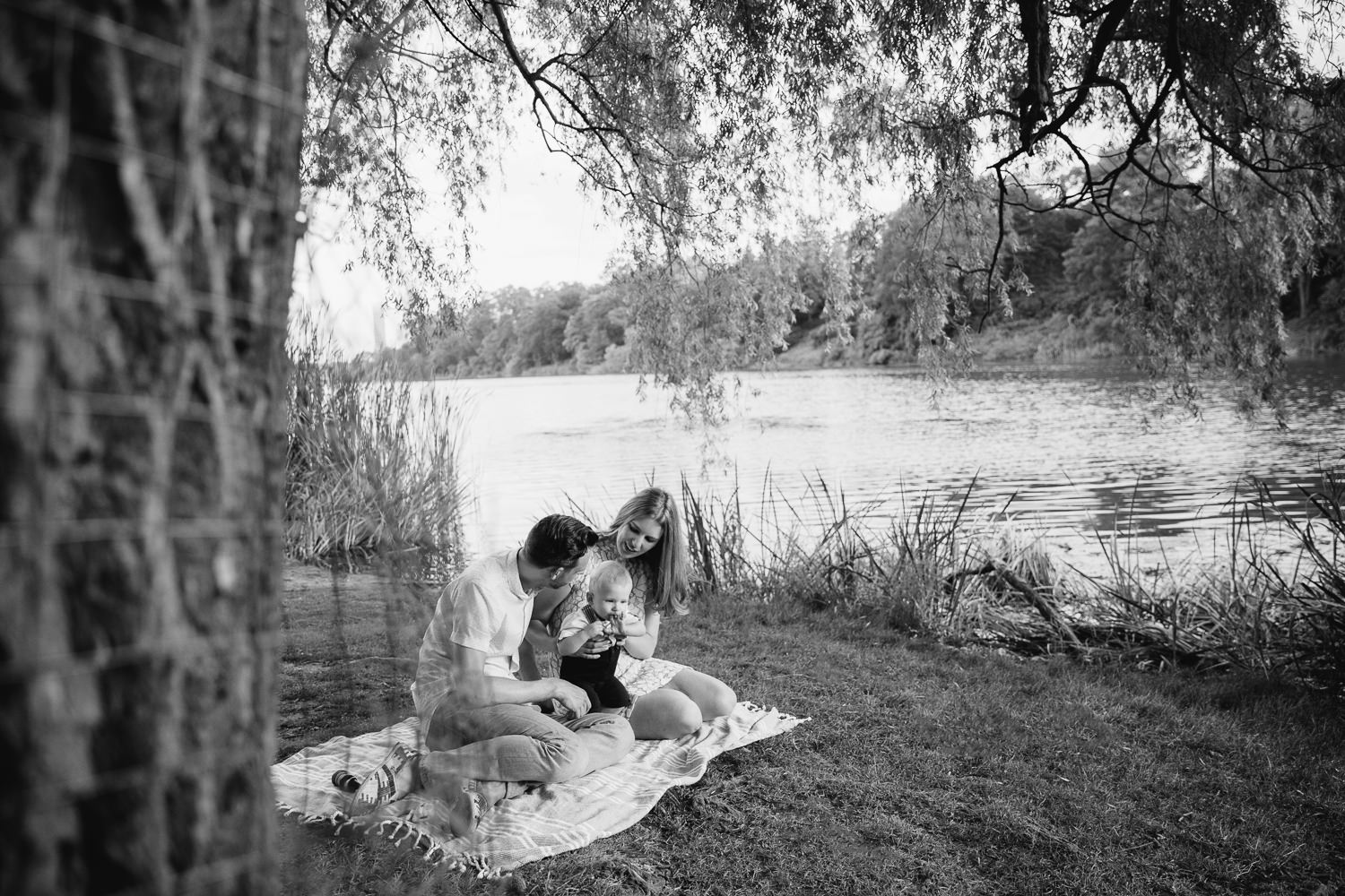 family of 3 sitting on blanket under large willow tree next to pond at high park, 8 month old baby boy standing between mom and dad - Newmarket In-Home Photography