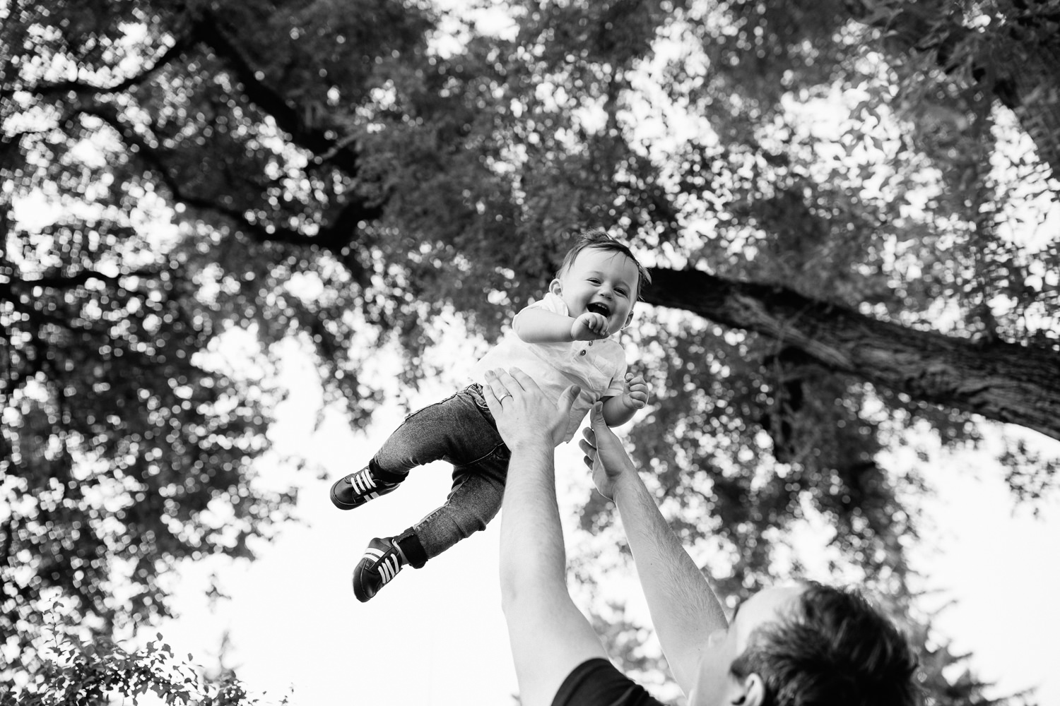 9 month old baby boy with dark brown hair wearing white t-shirt and jeans laughing as dad throws him in air under trees in park - York Region Lifestyle Photos