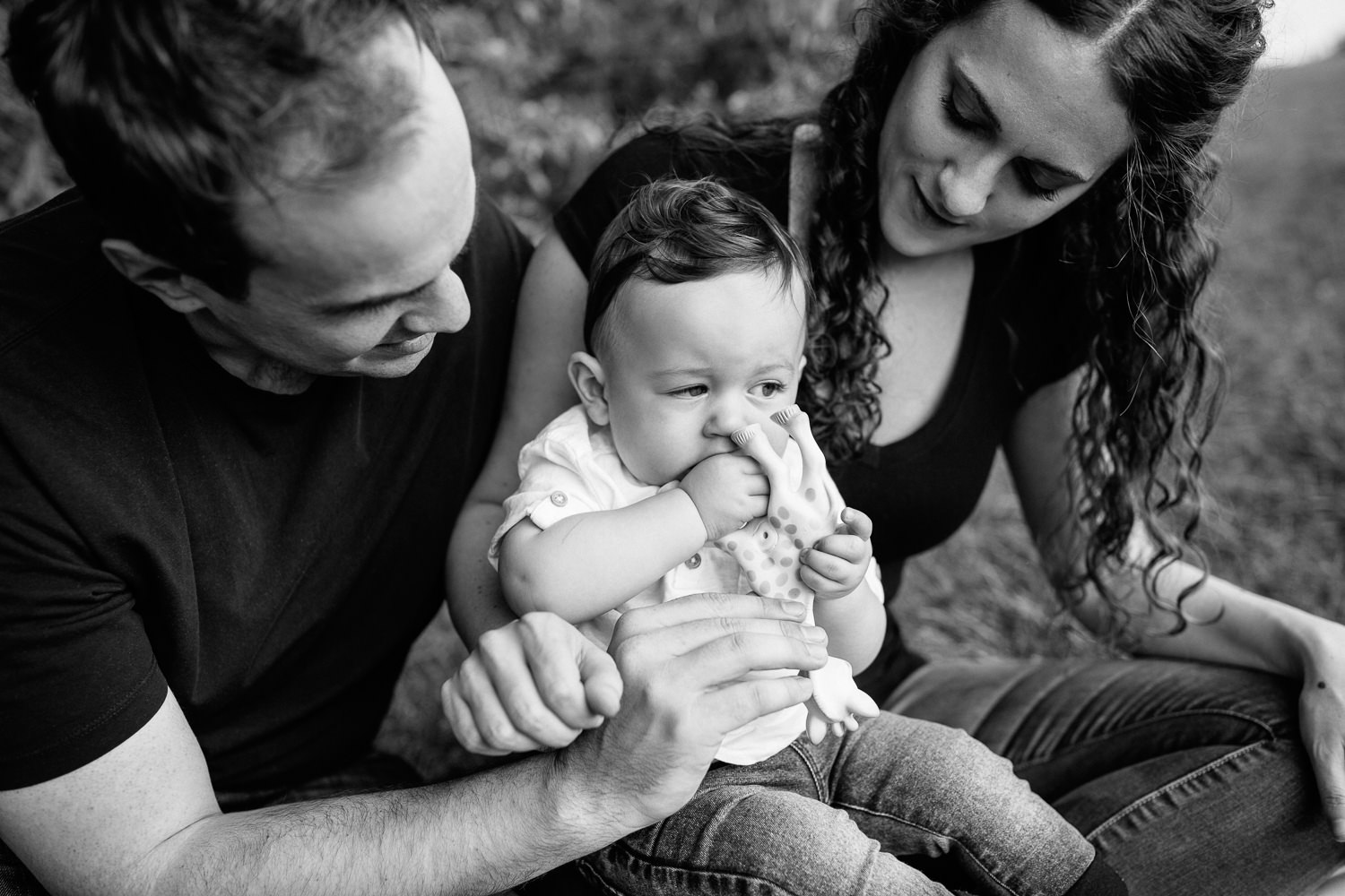 family of 3, 9 month old baby boy in white t-shirt and jeans sitting in mom's lap chewing on Sophie the giraffe, mother and father looking and smiling at son - York Region Golden Hour Photos