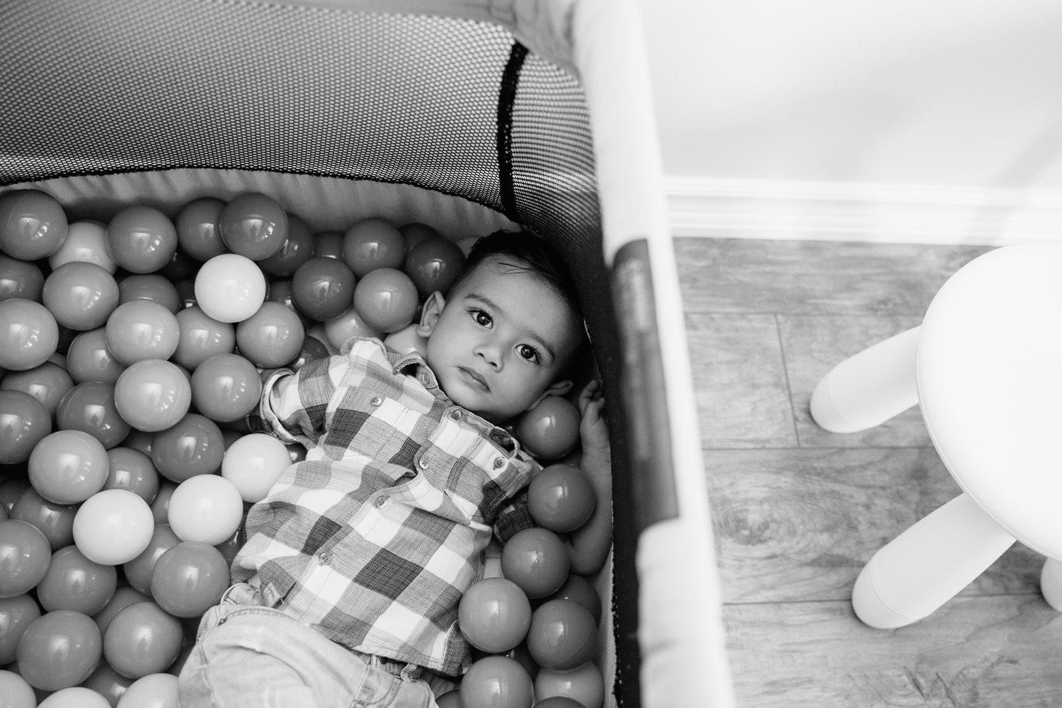 1 year old baby boy with dark hair and eyes in plaid blue and white button down shirt lying in playpen full of plastic balls looking up at camera - Newmarket In-Home Photography