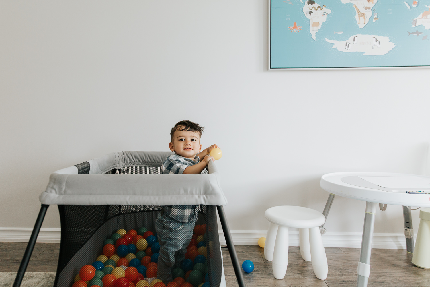 1 year old baby boy with dark hair and eyes in plaid blue and white button down shirt standing in playpen full of plastic balls smiling at camera - GTA In-Home Photography