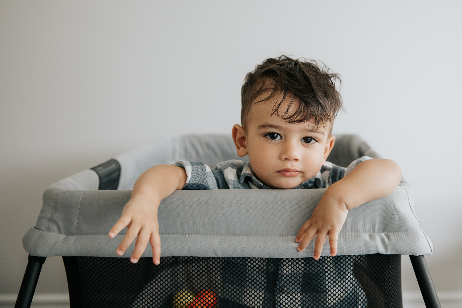 1 year old baby boy with dark hair and eyes in plaid blue and white button down shirt standing in playpen full of plastic balls looking seriously at camera - York Region In-Home Photography