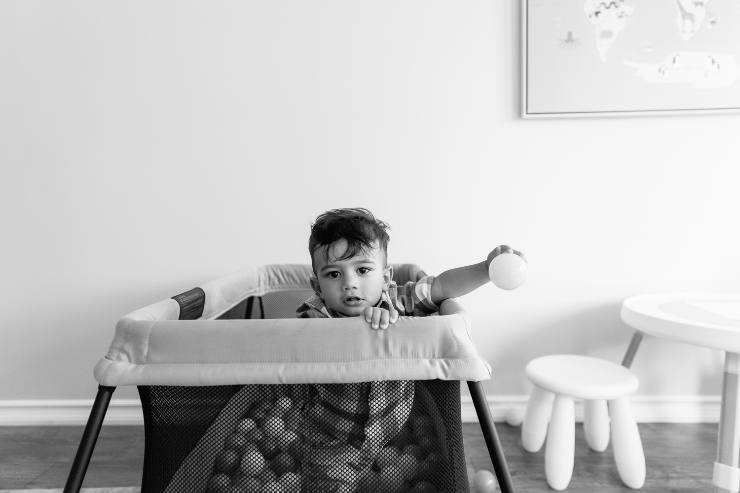 1 year old baby boy with dark hair and eyes in plaid blue and white button down shirt standing in playpen full of plastic balls looking at camera - Newmarket In-Home Photos