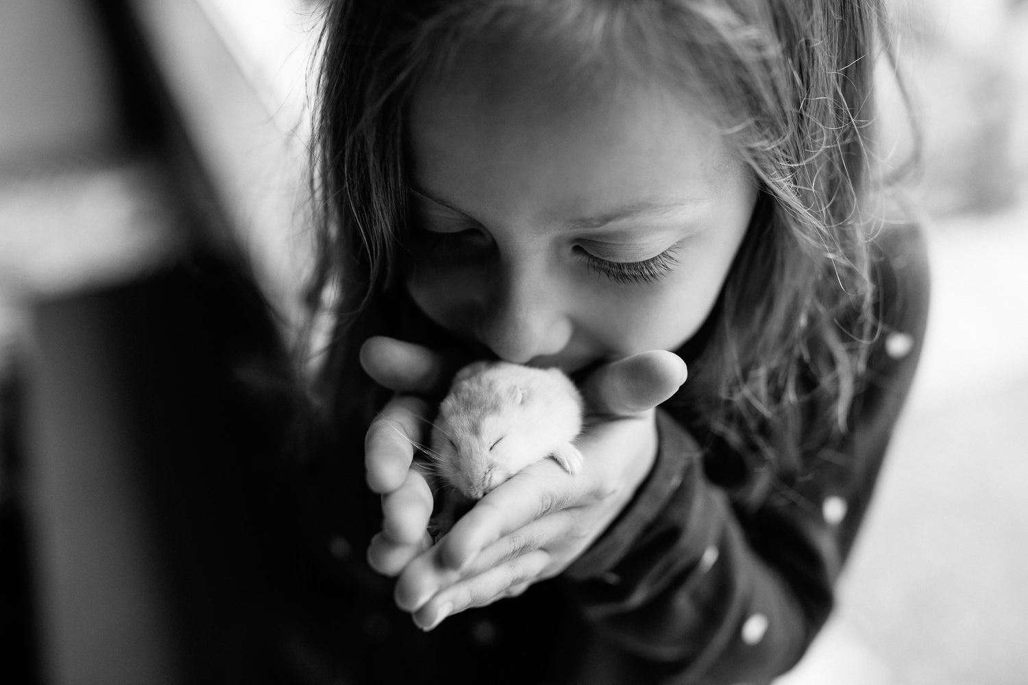 close up of 7 year old girl holding white hamster in both hands, kissing pet, both with eyes closed - Newmarket In-Home Photography