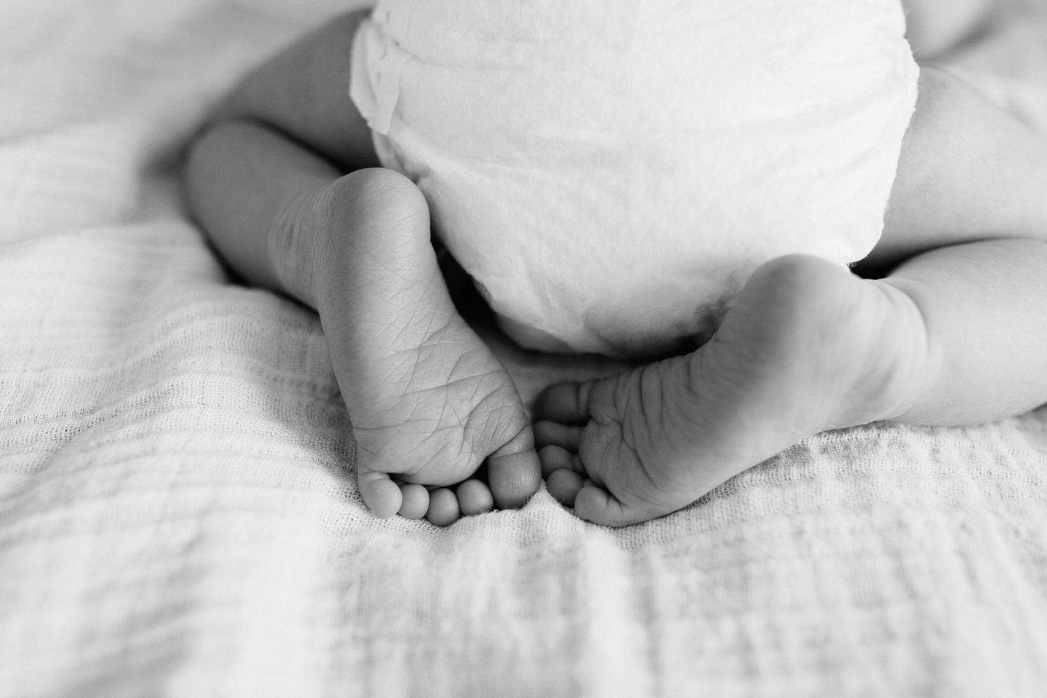 2 week old baby boy in diaper lying on stomach, legs tucked in, close up of feet and toes - York Region Lifestyle Photography