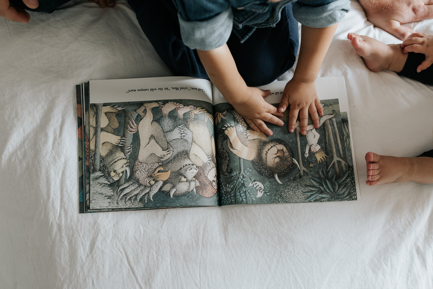 2 year old boy sitting on bed reading where the wild things are, hands reaching out to touch picture in book - Barrie In-Home Photos