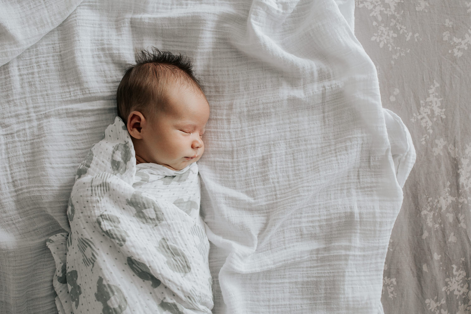 2 week old baby boy wrapped in white and grey elephant swaddle sleeping on bed, portrait - Barrie Lifestyle Photography