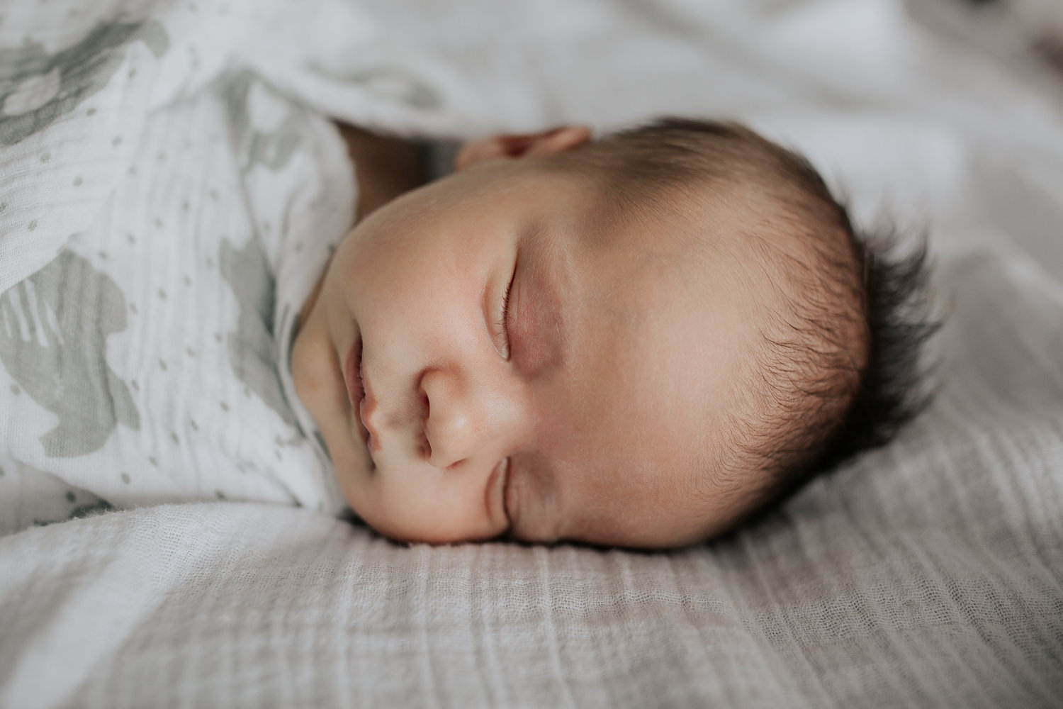 2 week old baby boy with dark hair wrapped in white and grey elephant swaddle sleeping on bed, portrait - GTA Lifestyle Photography