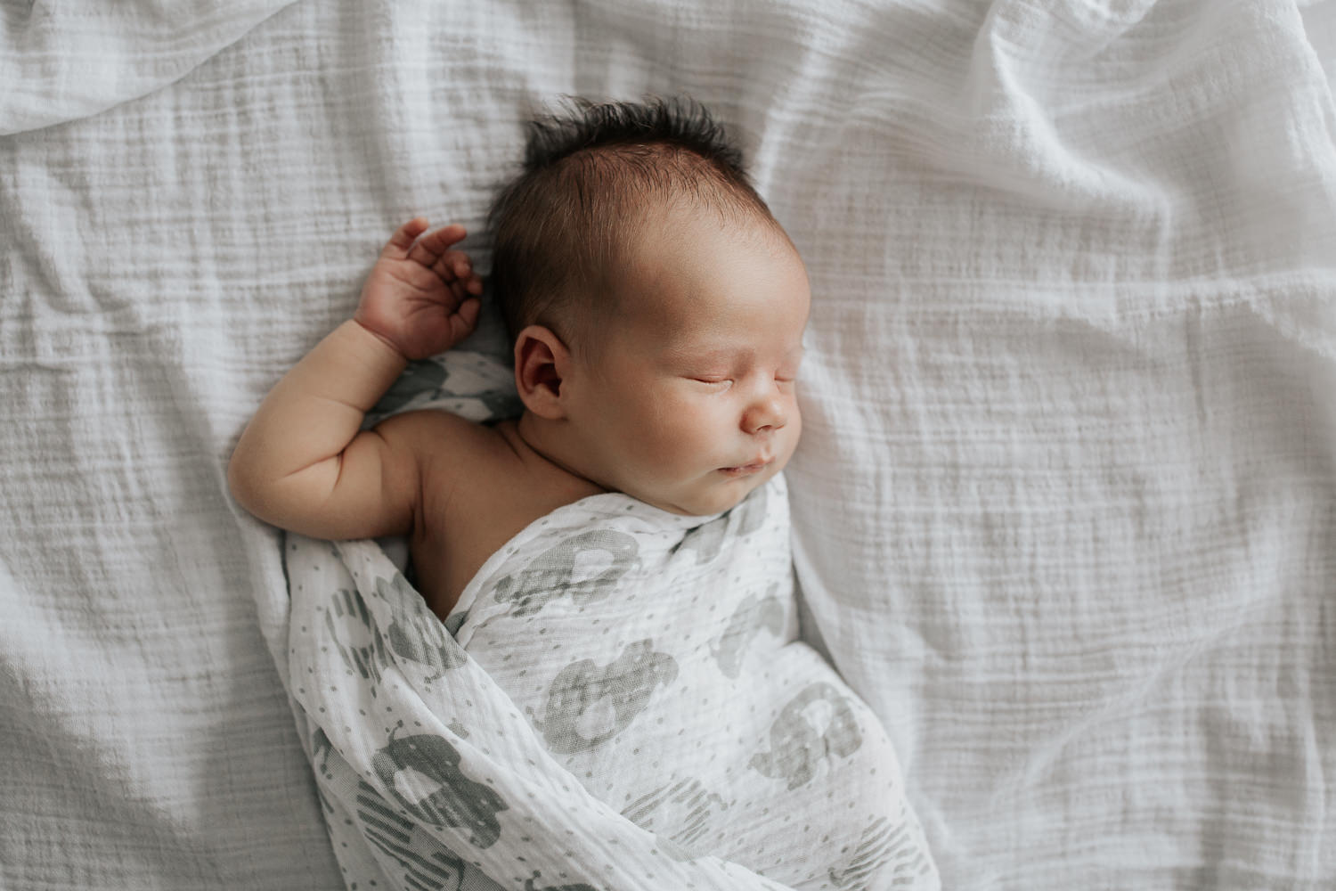 2 week old baby boy with dark hair wrapped in white and grey elephant swaddle sleeping on bed, arm out by head, portrait - GGTA In-Home Photography