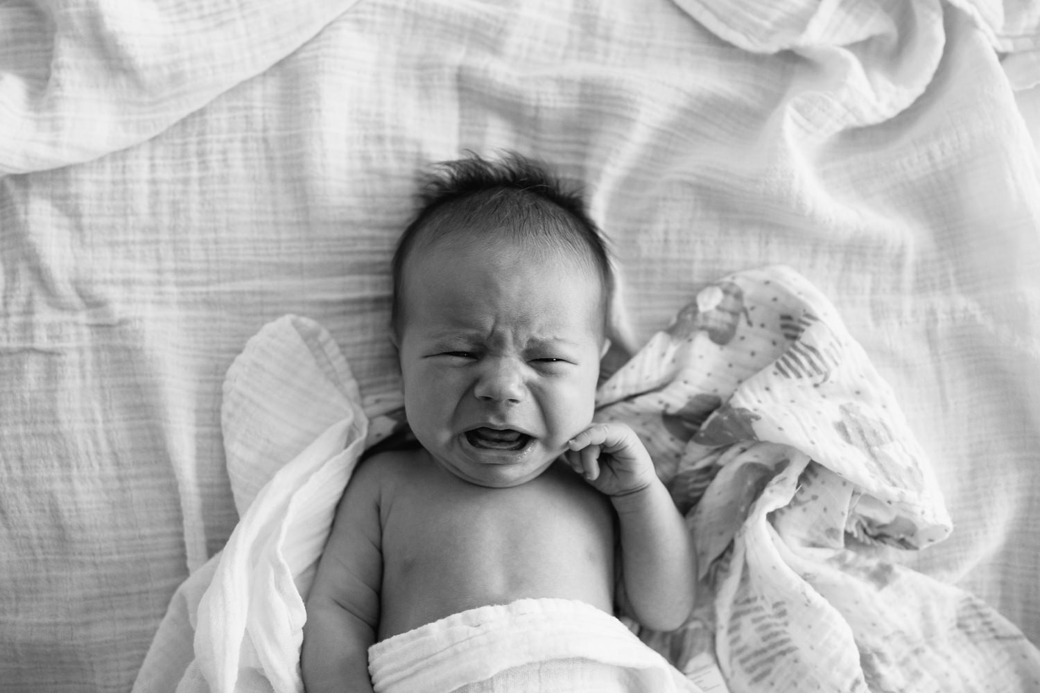 2 week old baby boy with dark hair lying on bed starting to cry while looking at camera, black and white portrait - GStouffville In-Home Photos 