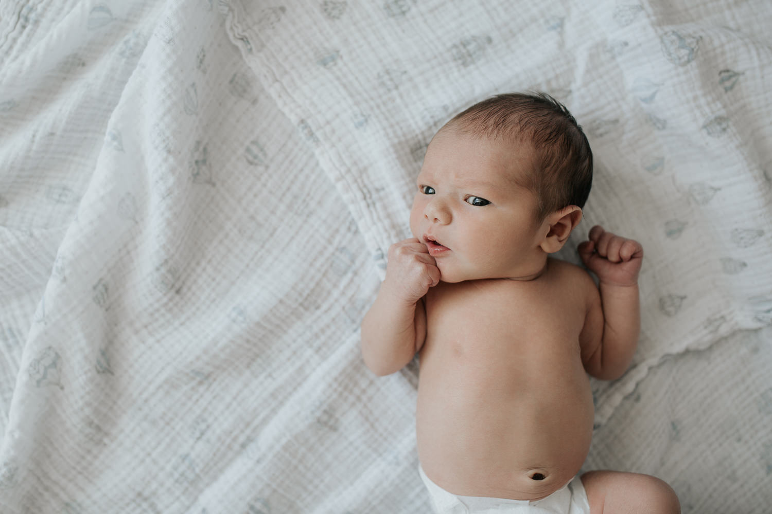 2 week old baby boy with dark hair and eyes lying on swaddle in diaper, eyes open, hands up near face - York Region Lifestyle Photos