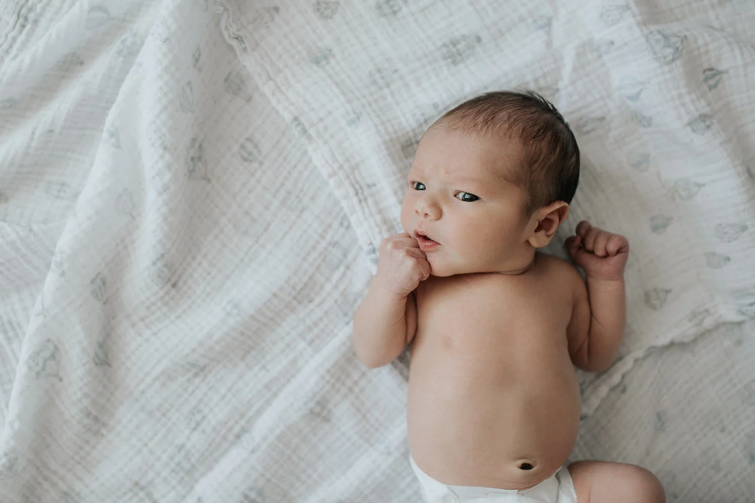 2 week old baby boy with dark hair and eyes lying on swaddle in diaper, eyes open, hands up near face - York Region Lifestyle Photos