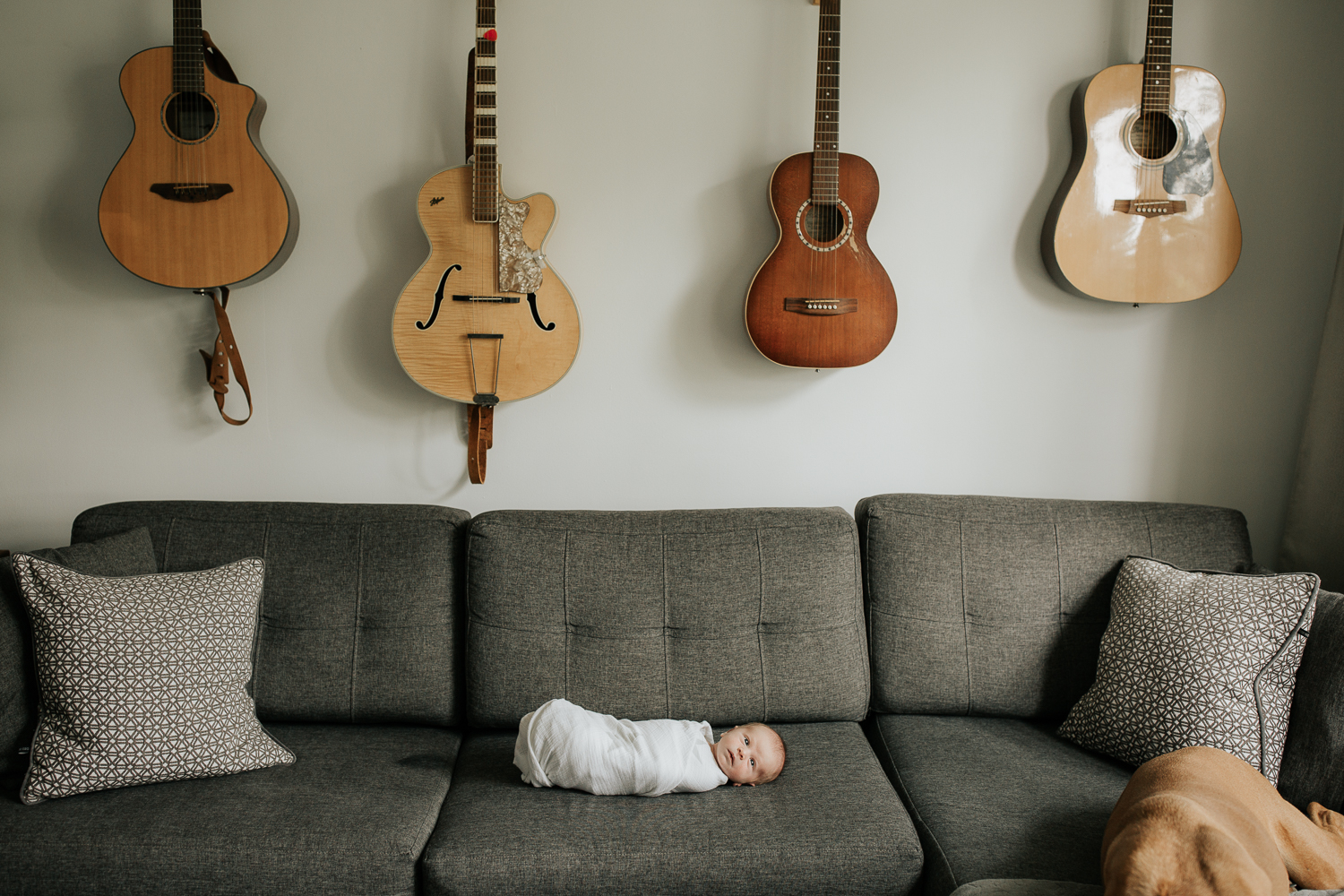 2 week old baby boy in white swaddle lying awake on dark grey couch, guitars hanging on wall above him - Newmarket Lifestyle Photography