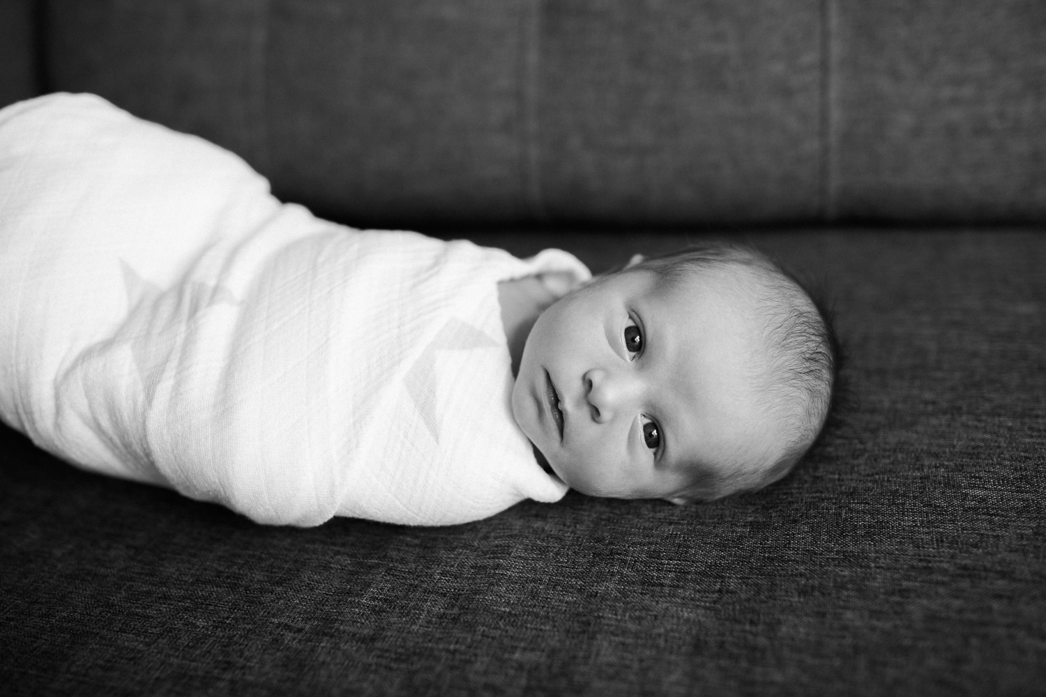 2 week old baby boy in wrapped in white swaddle with star on in lying on dark couch, awake and looking at camera - Markham Lifestyle Photography