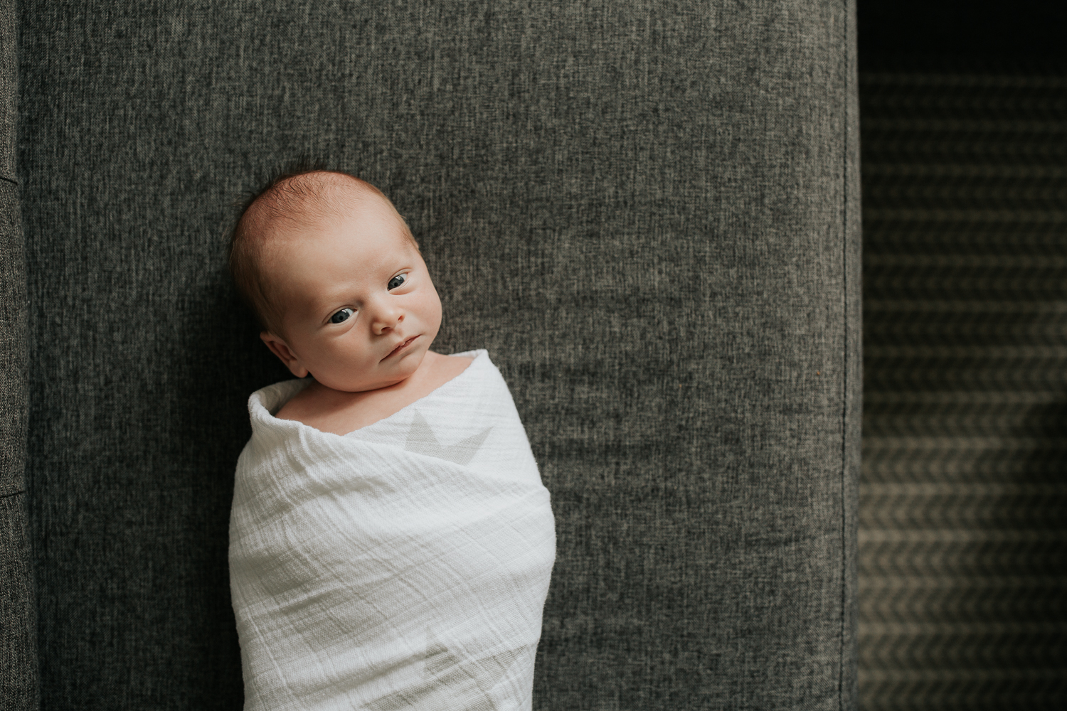 2 week old baby boy in wrapped in white swaddle with star on in lying on dark couch, awake and looking at camera - Barrie Lifestyle Photography
