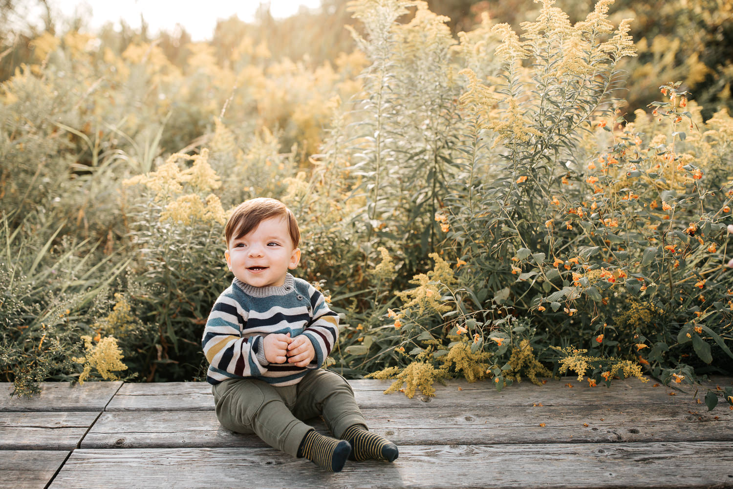 1 year old baby boy with brown hair wearing striped sweater sitting on wooden bench in front of yellow flowers, smiling, hands clasped  setting sun behind him - Stouffville Golden Hour Photography