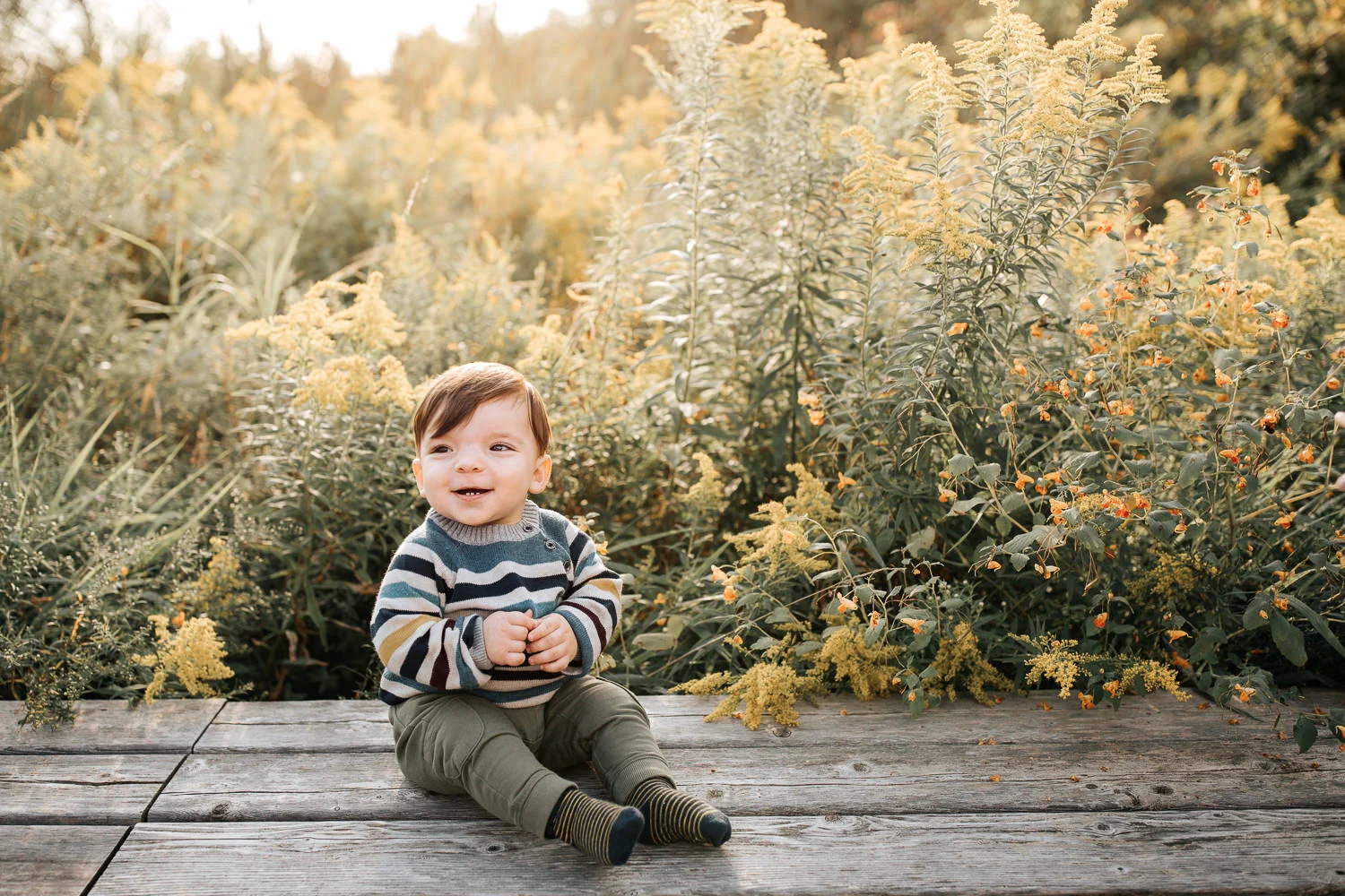 1 year old baby boy with brown hair wearing striped sweater sitting on wooden bench in front of yellow flowers, smiling, hands clasped setting sun behind him - Stouffville Golden Hour Photography