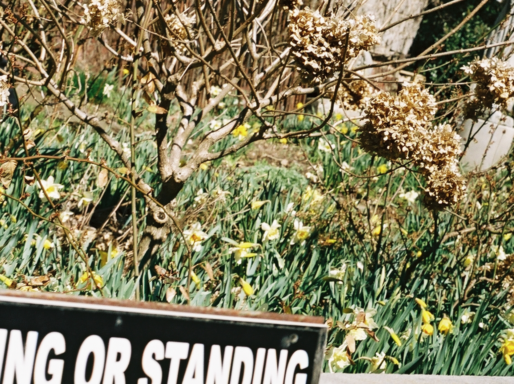 Screen Shot 2018-01-15 at 5.44.48 PM.png