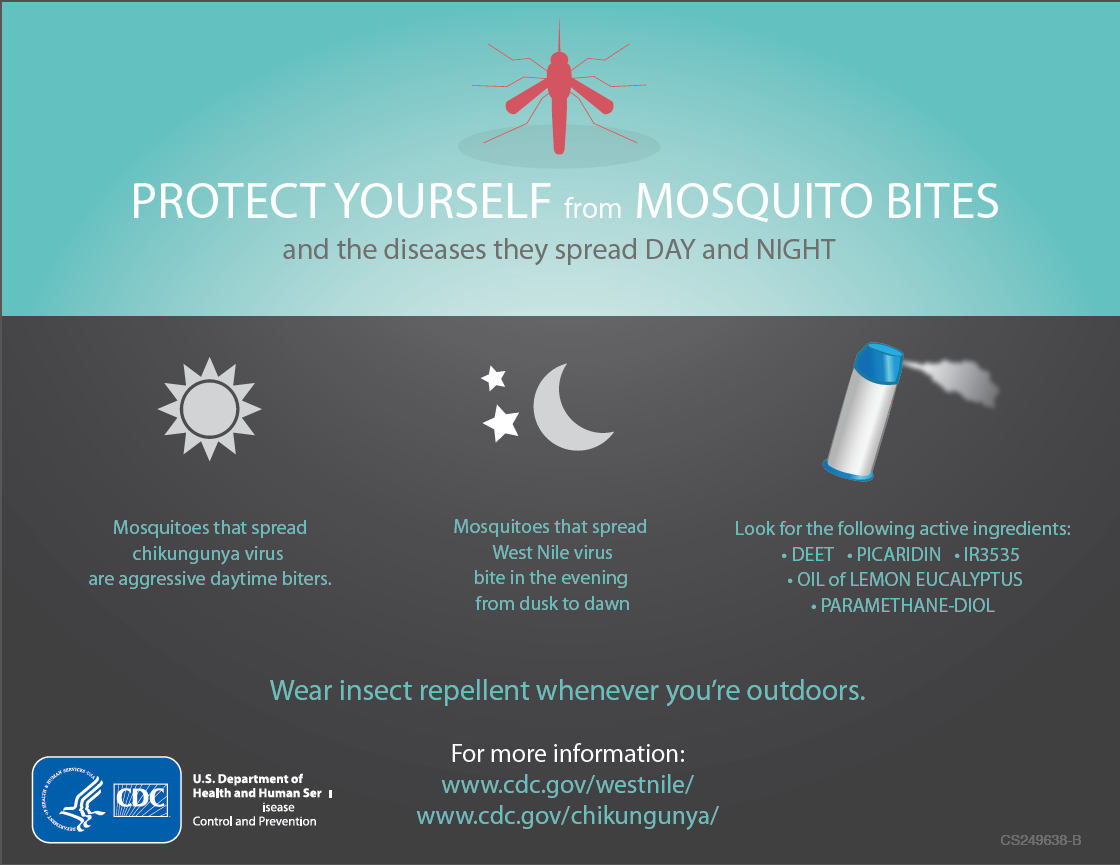 Understanding Chikungunya Virus Associated Arthritis