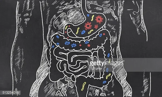A Gut-Joint Connection?  