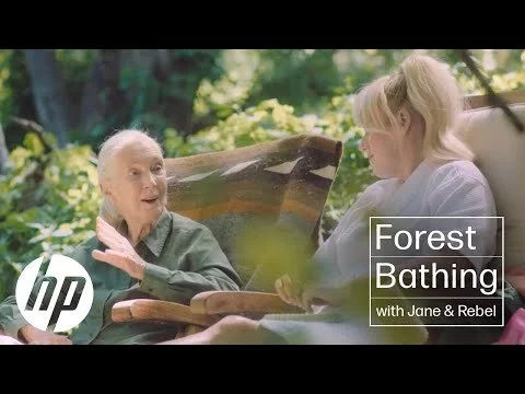 Plant a Tree with HP | Dr. Jane Goodall and Rebel Wilson Go Forest Bathing | Sustainable Impact | HP