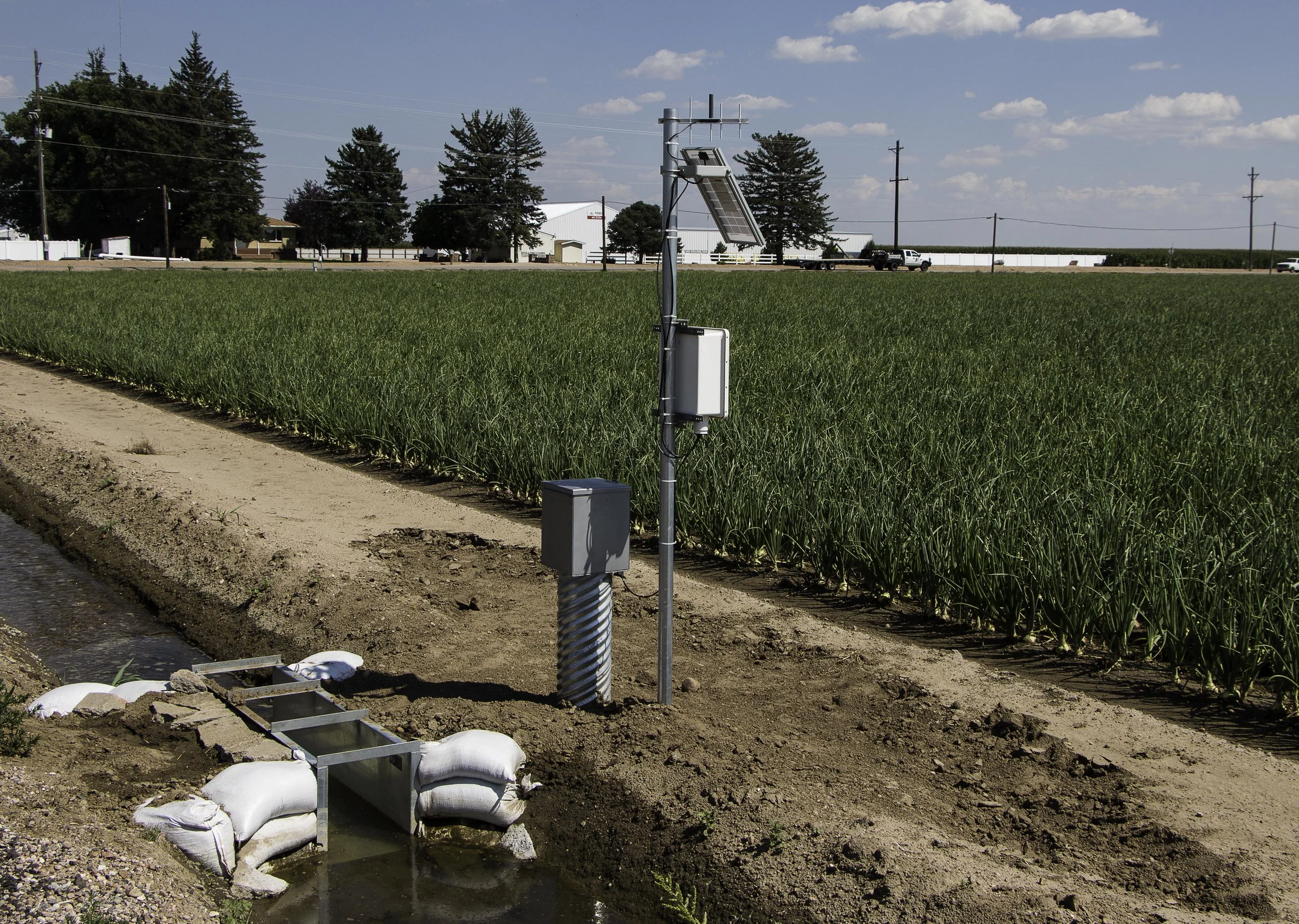 20140811 Hoshiko 024.JPG