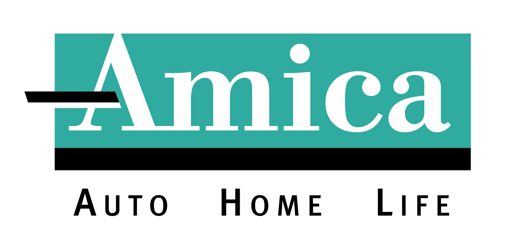 Color Amica Logo black AHL_2C.png