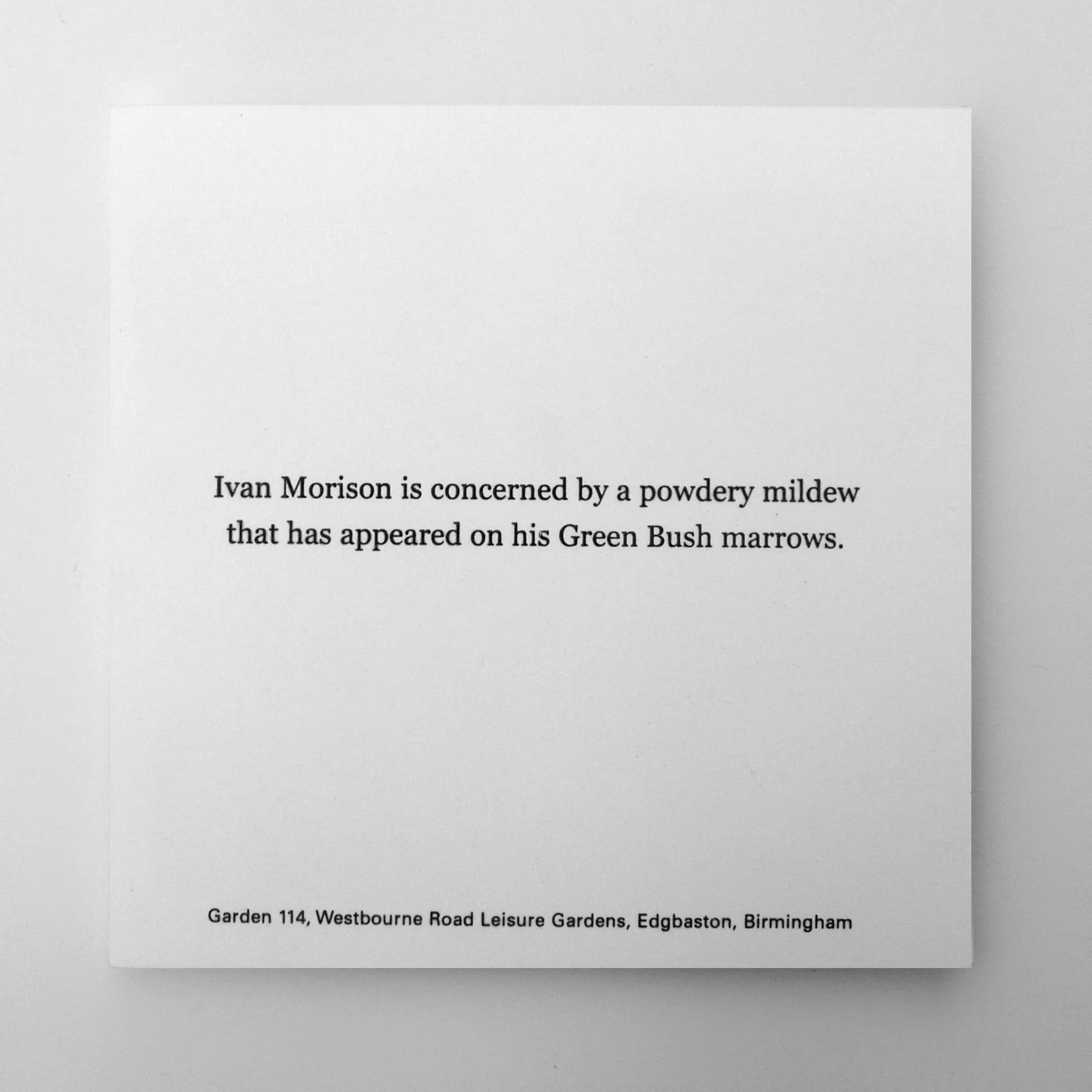 Heather-and-Ivan-Morison-PRINTED-CARDS-21.jpg