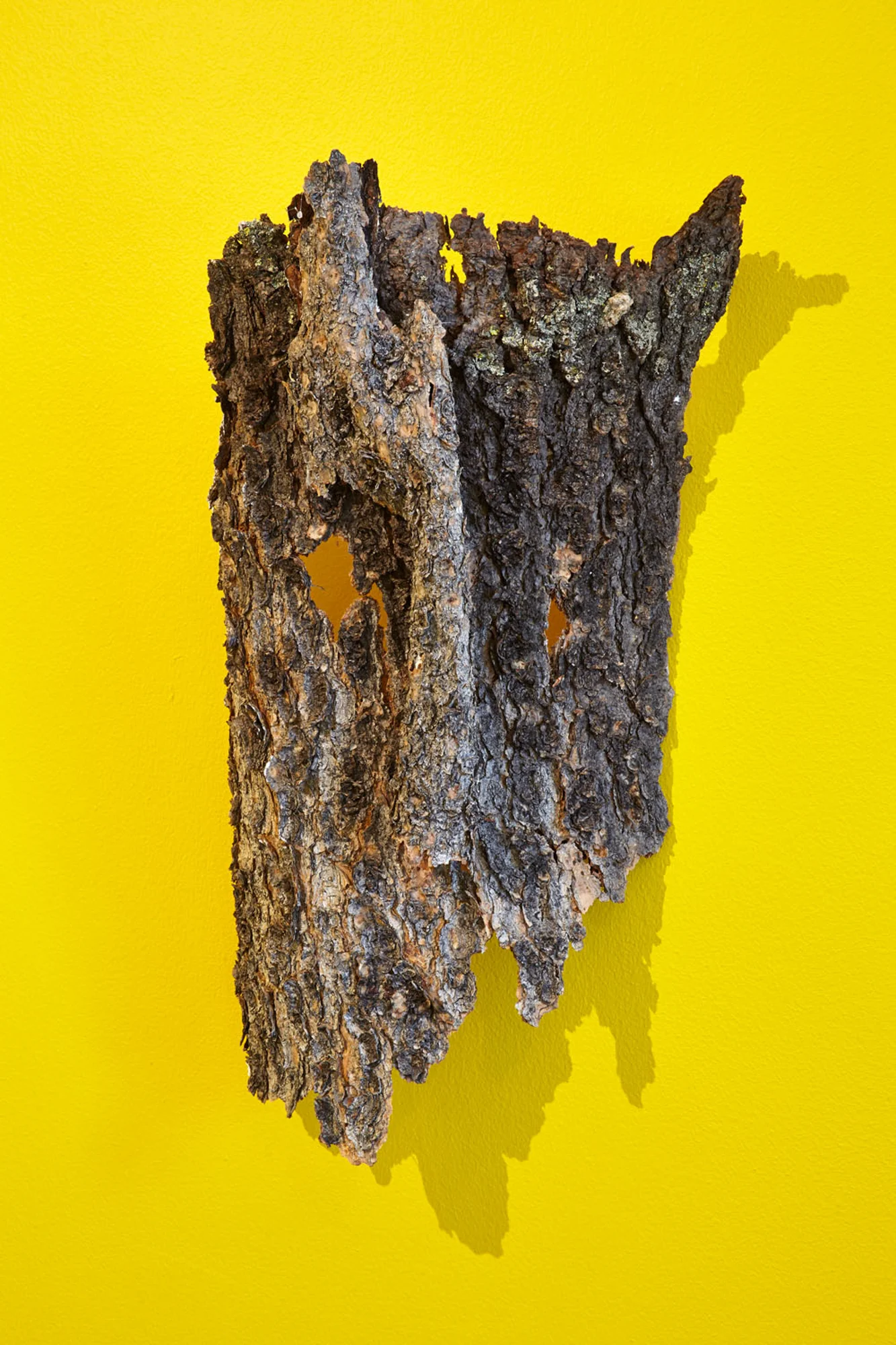 Light Sleepers Awake , White Pine 30 x 20 x 8cm 2015