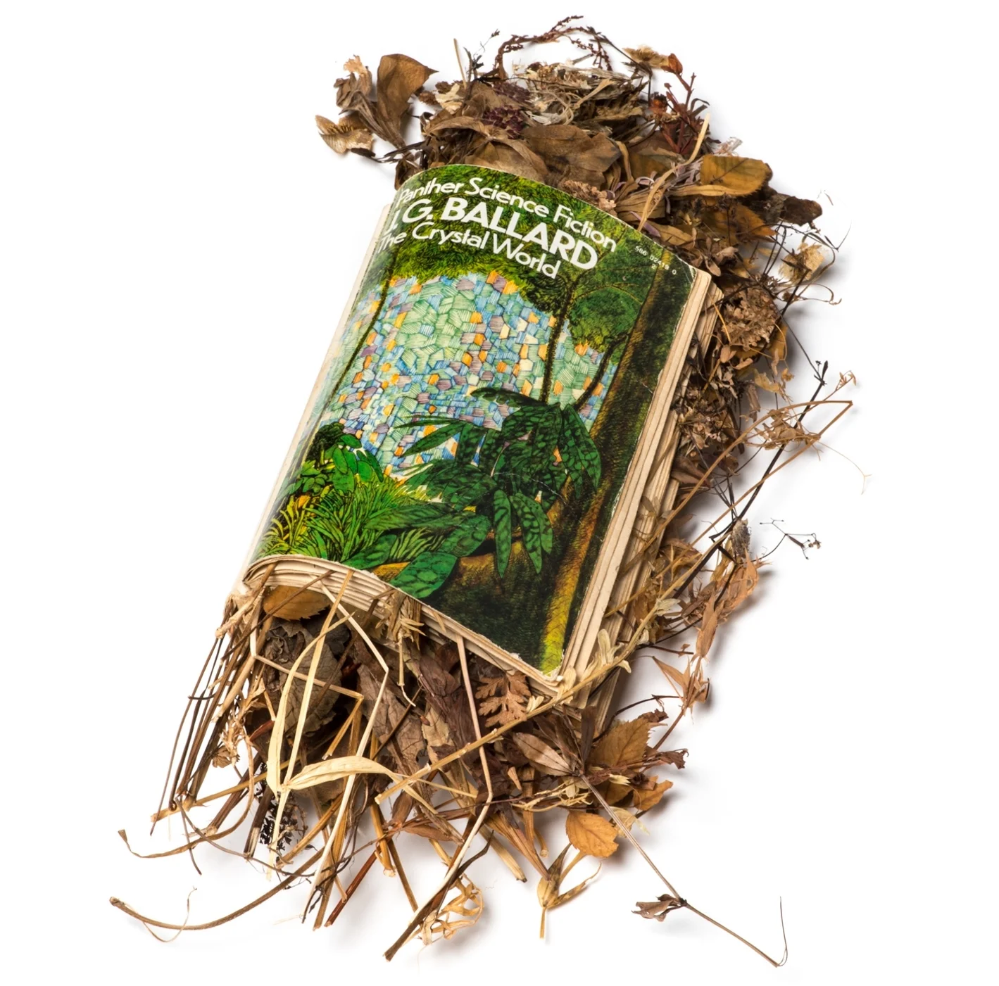 Heather-and-Ivan-Morison-SCIENCE-FICTION-WILDFLOWER-BOOKS-6.jpg