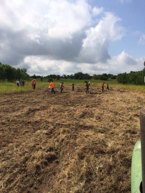 Boy scout troop planting seeds