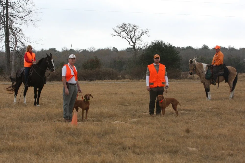 Can AKC Hunt Tests be a great way to bond with your bird dogs?  Yes!