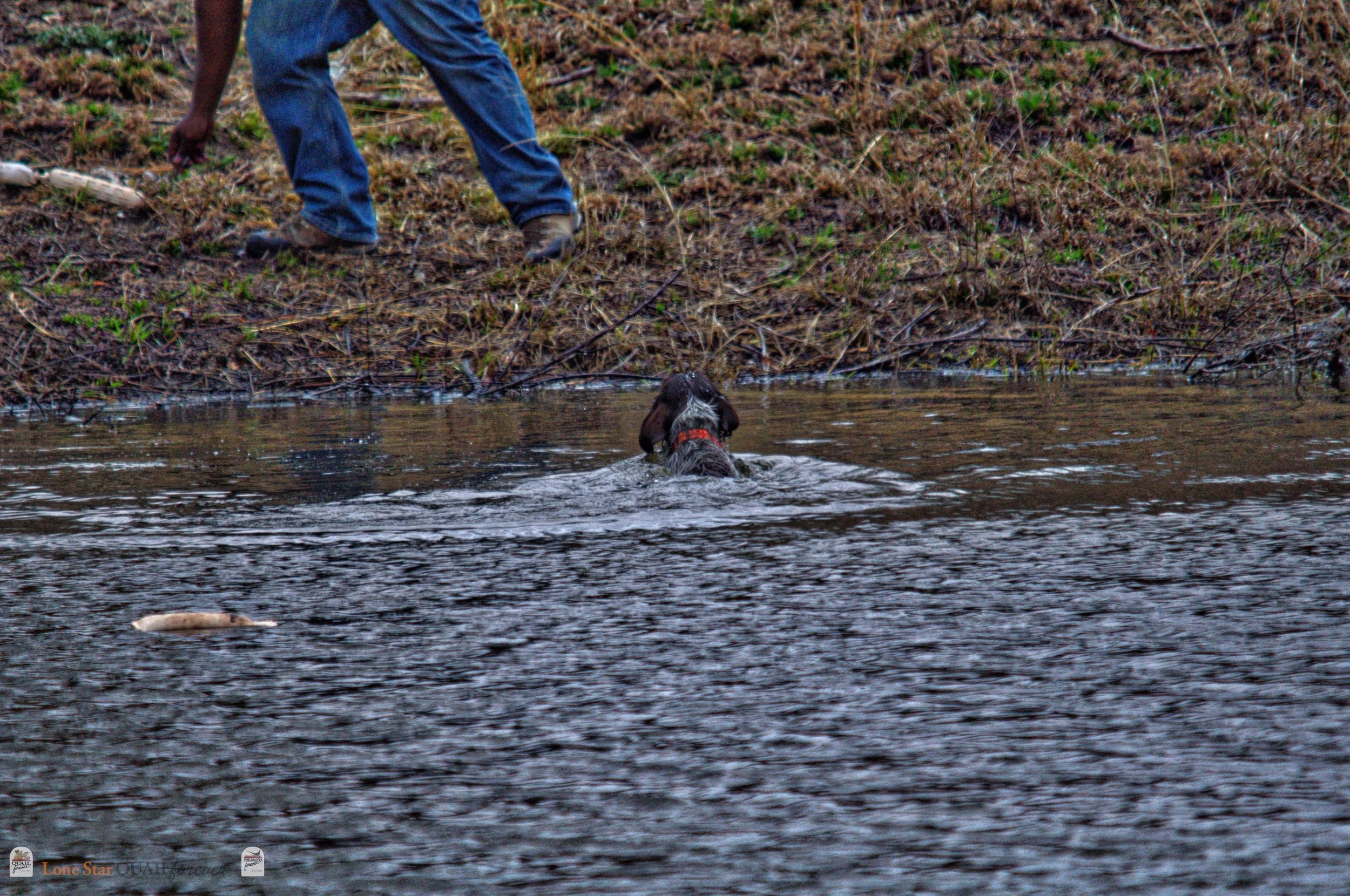DSC_0061_V.jpg