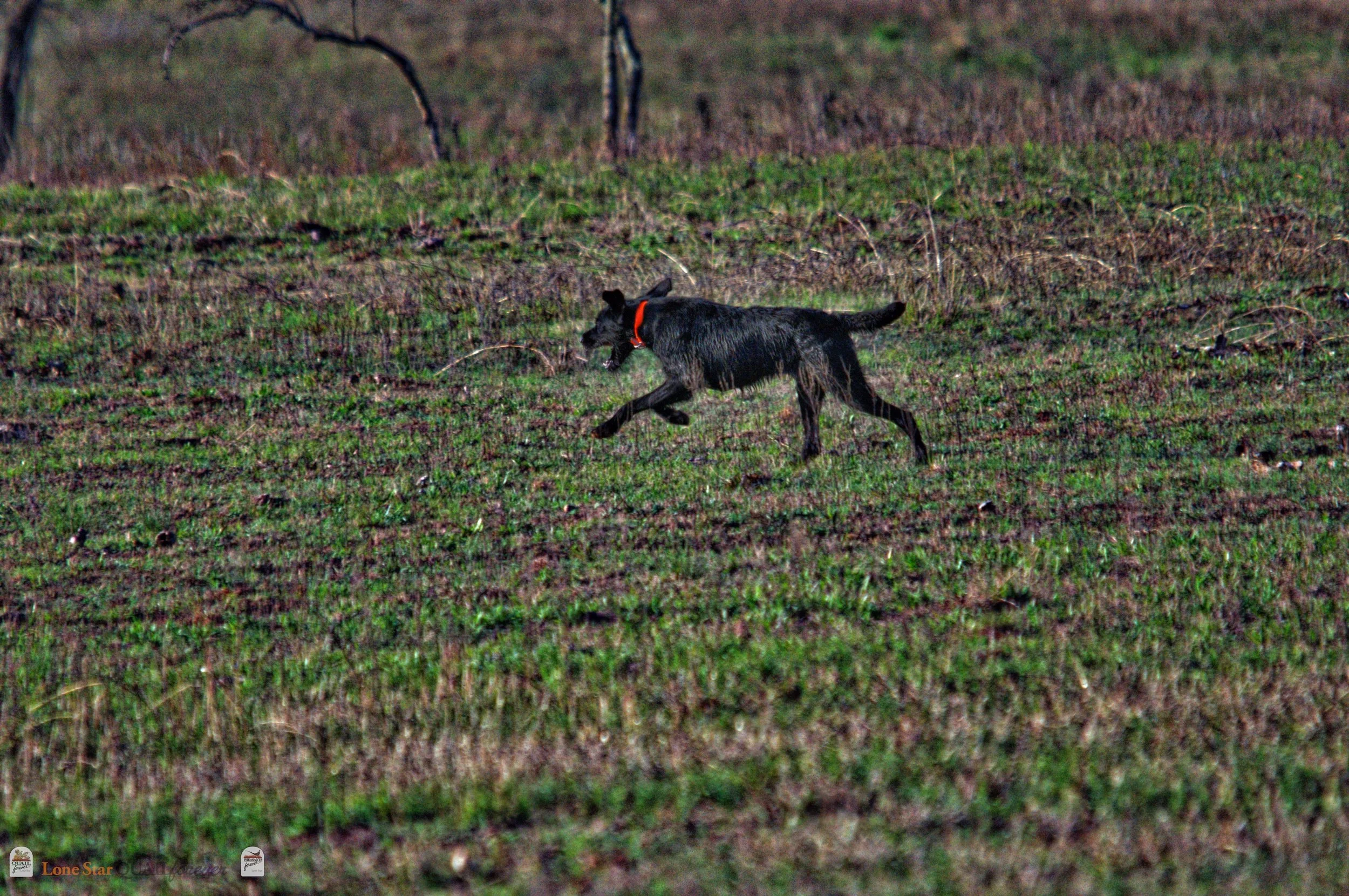 DSC_0687_V.jpg