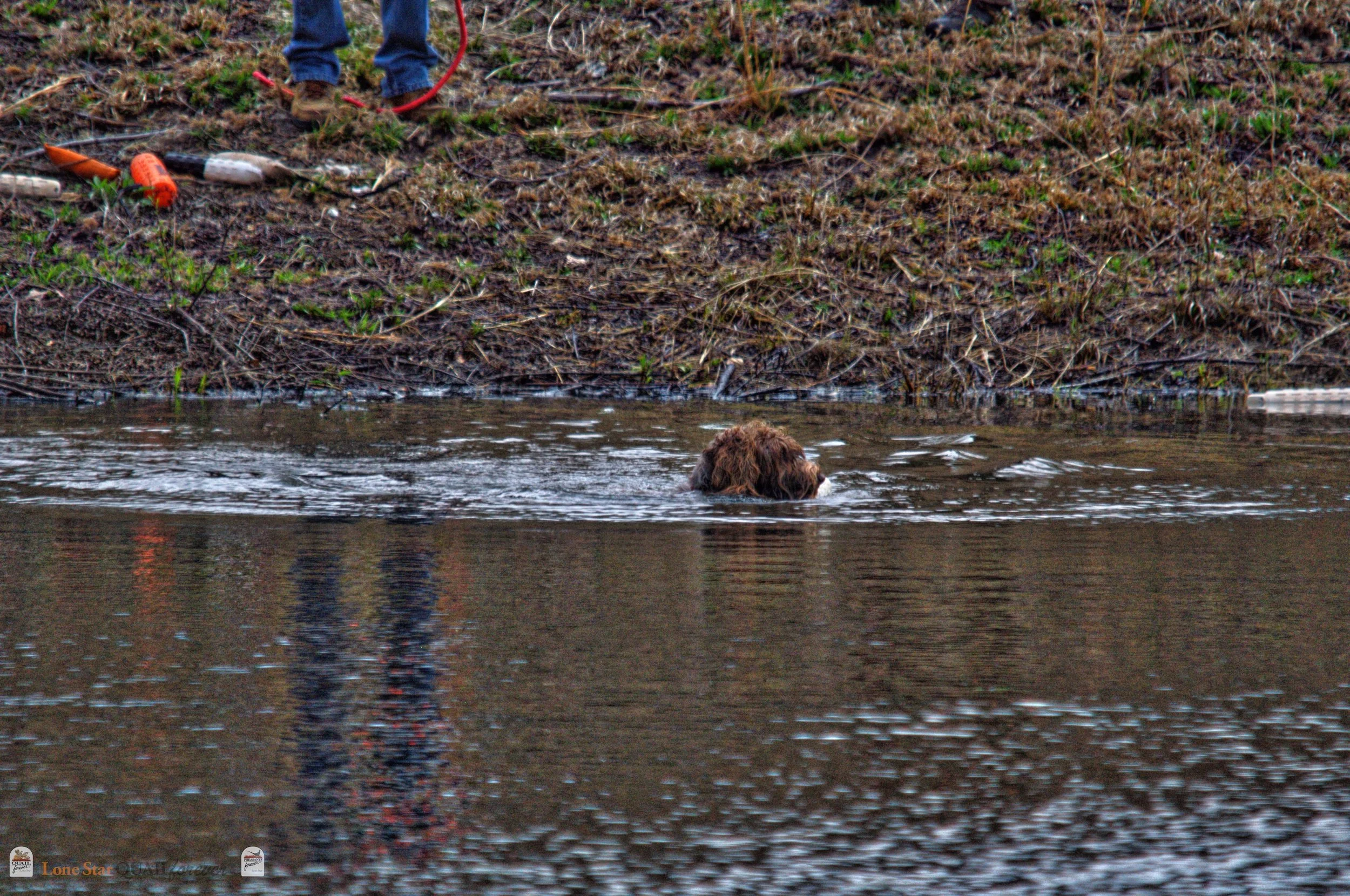 DSC_0087_V.jpg