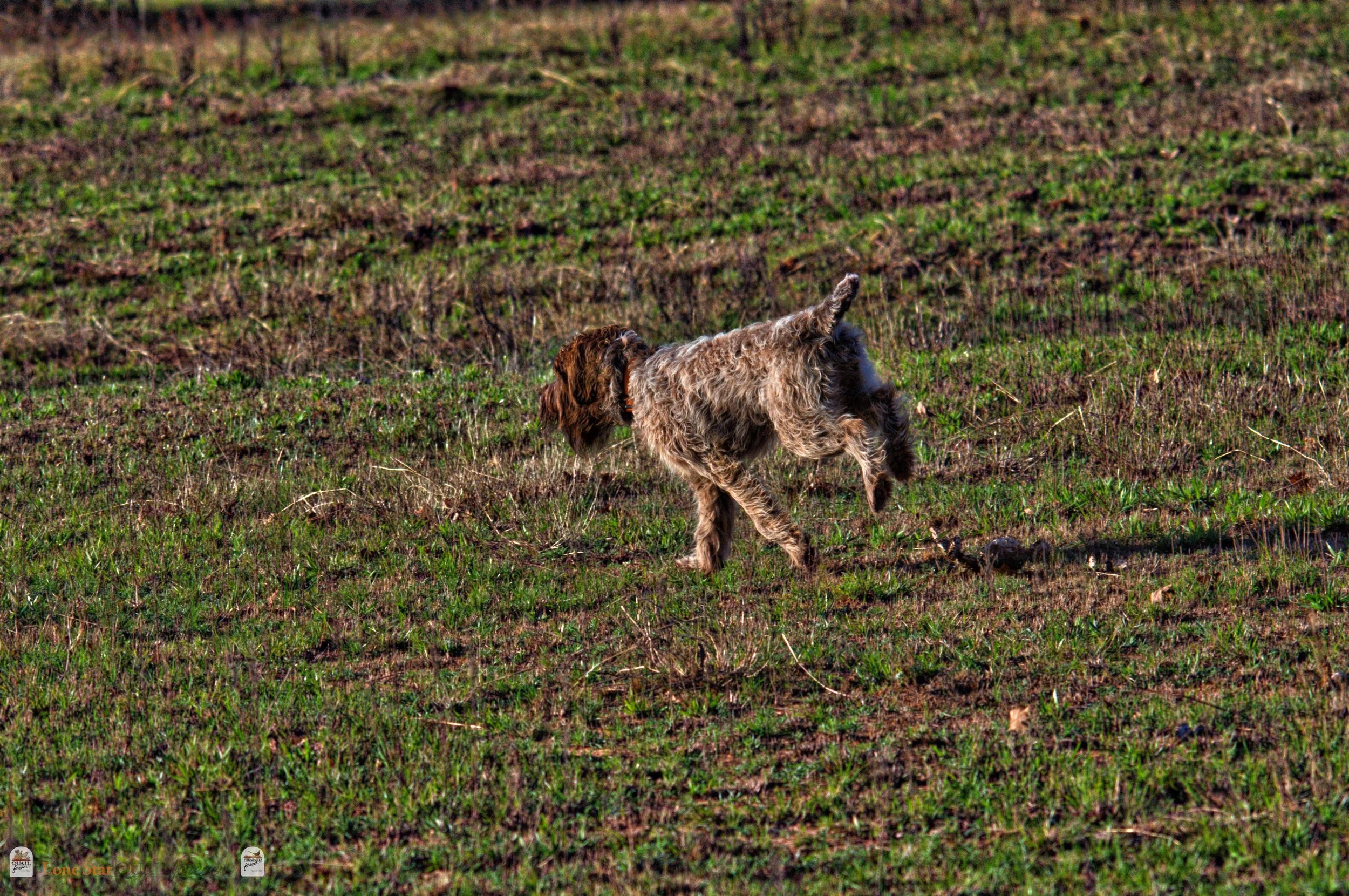 DSC_0713_V.jpg