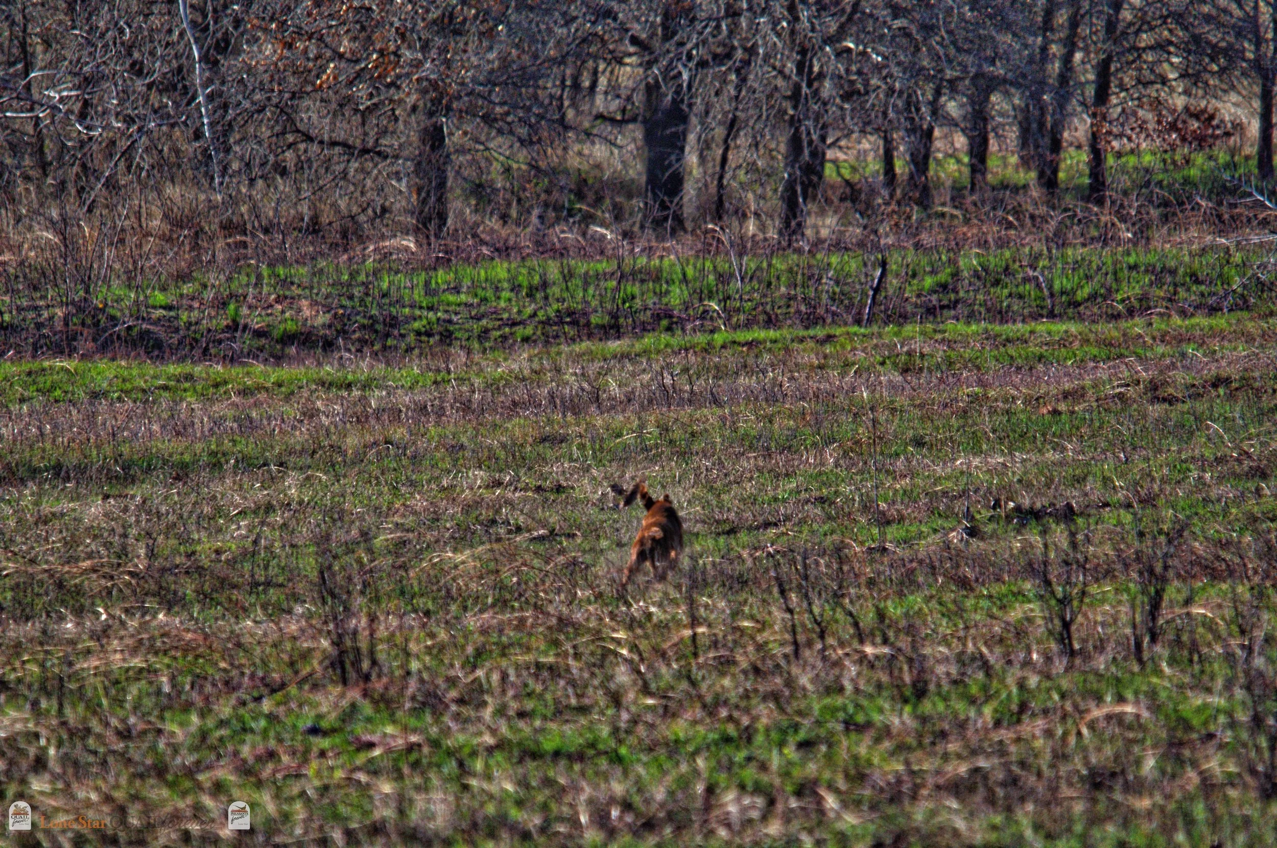 DSC_0719_V.jpg