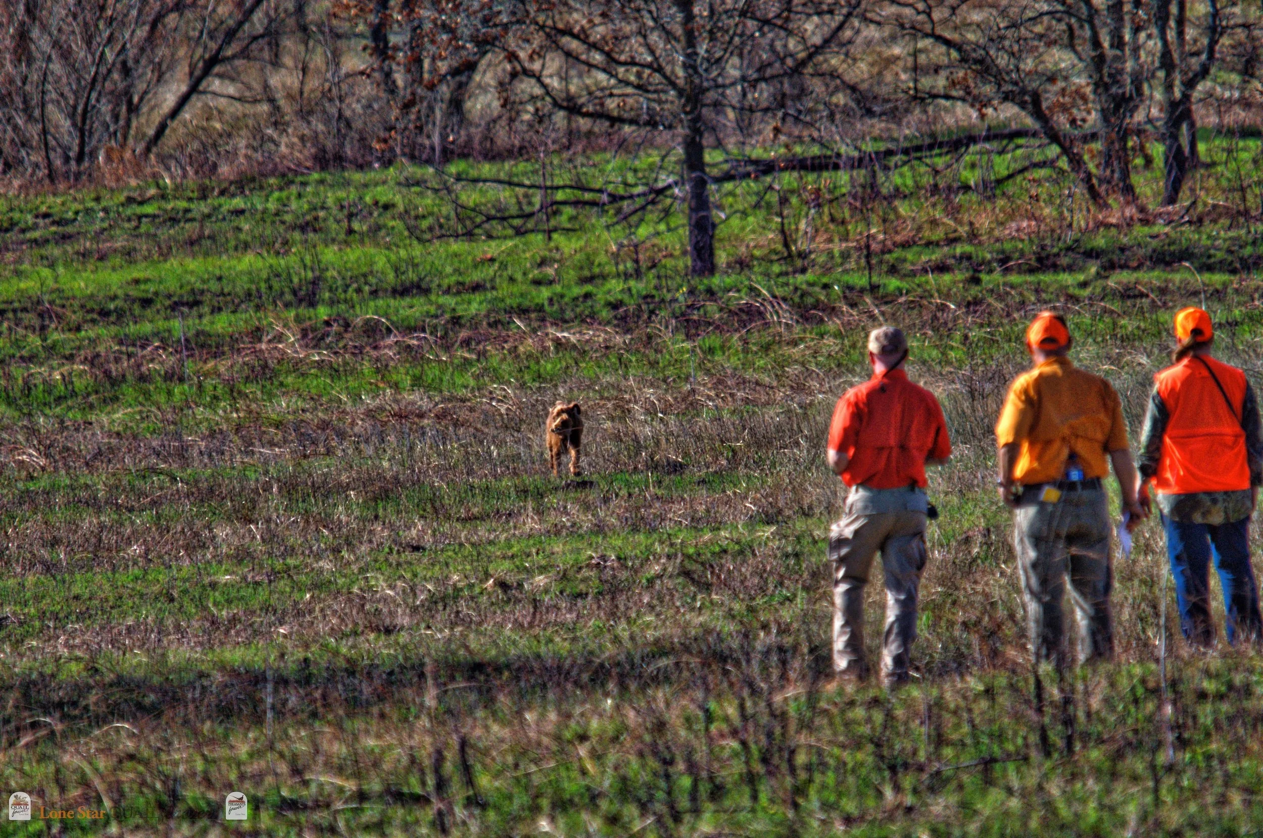 DSC_0728_V.jpg