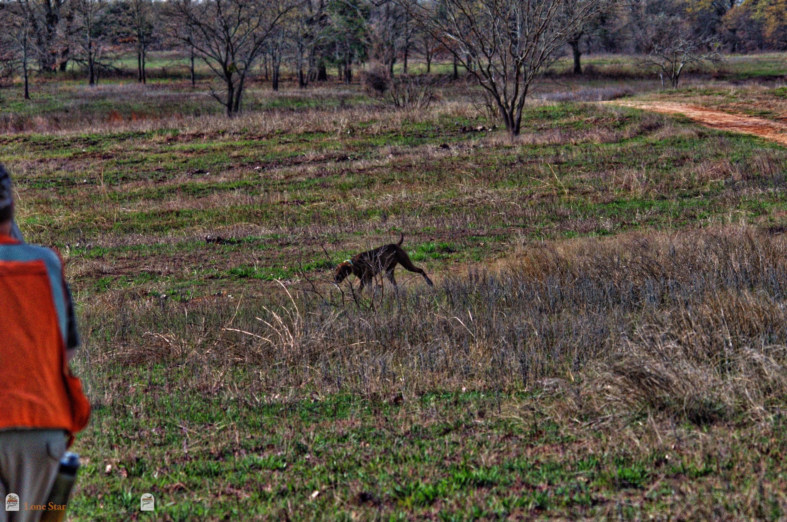 DSC_0735_V.jpg